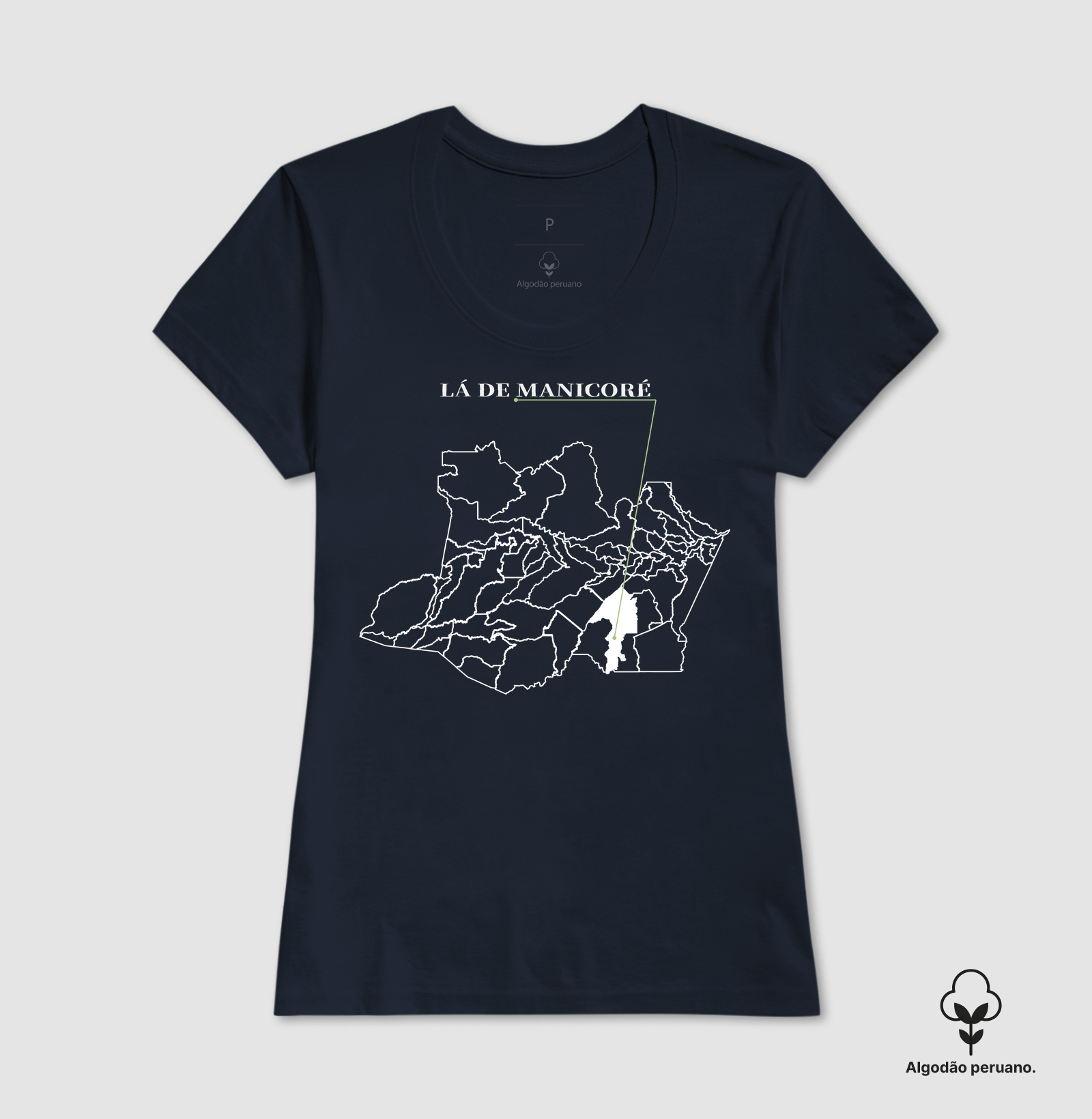 Manicoré | Origem AM - Imagem 6