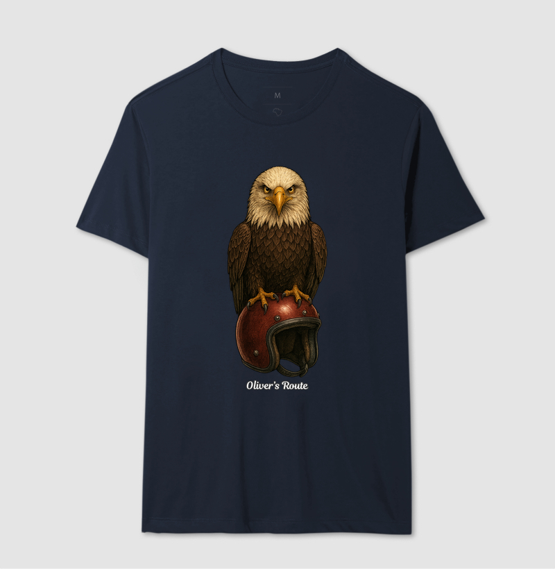 The Eagle and the Helmet - Imagem 6