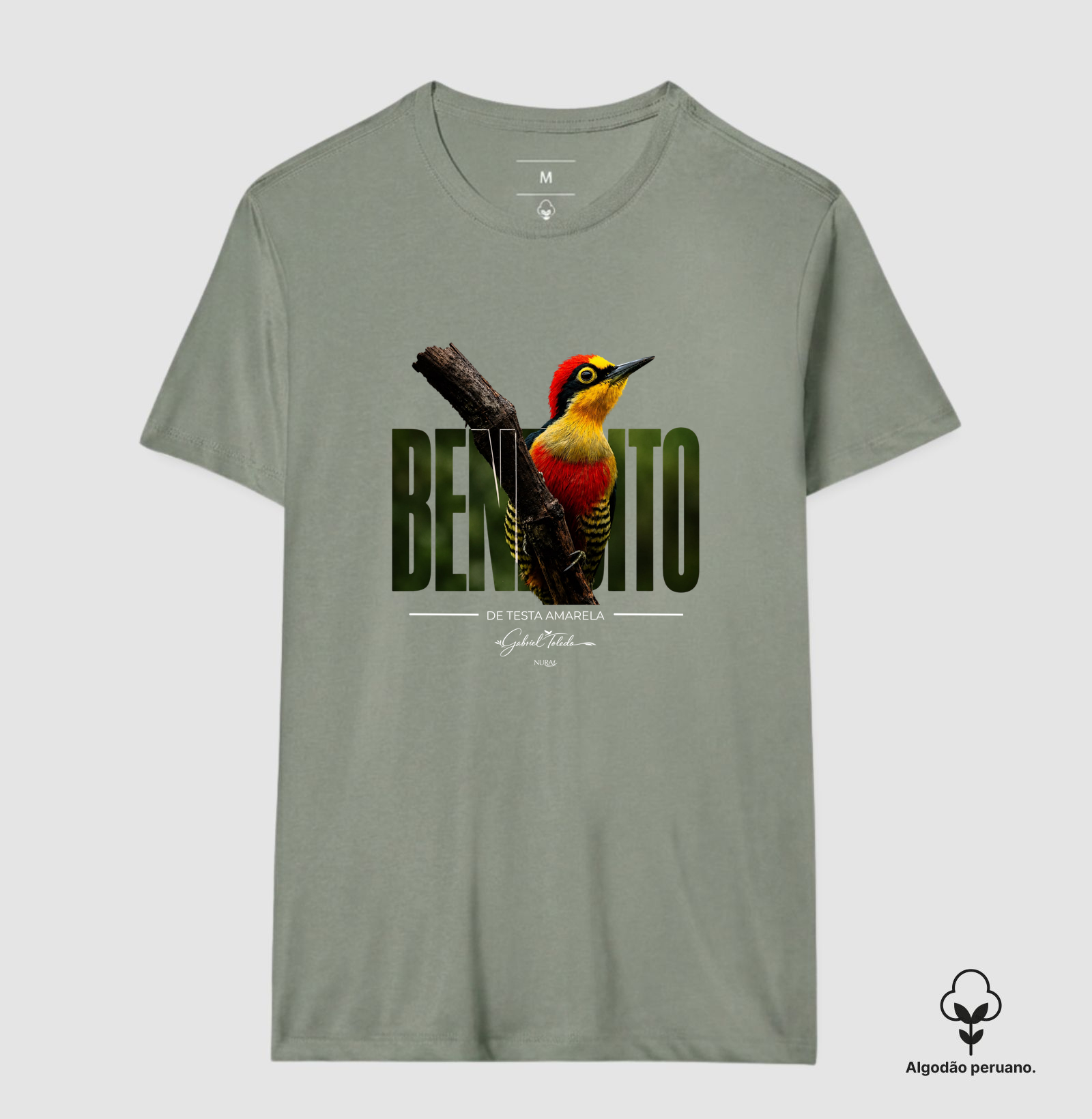 Camisa 7