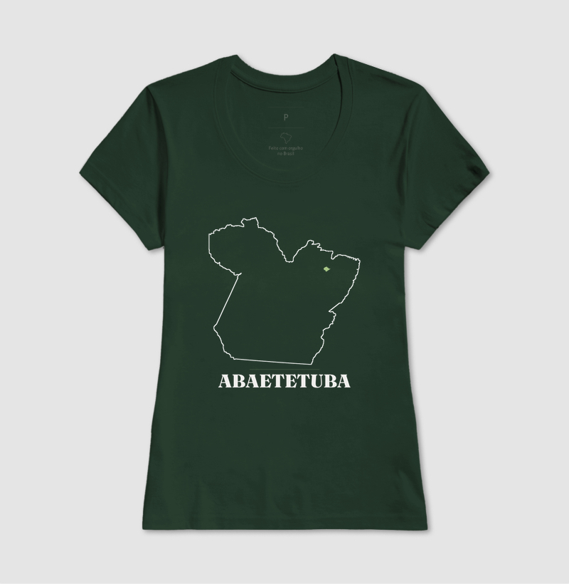 Abaetetuba | Traço PA - Imagem 13