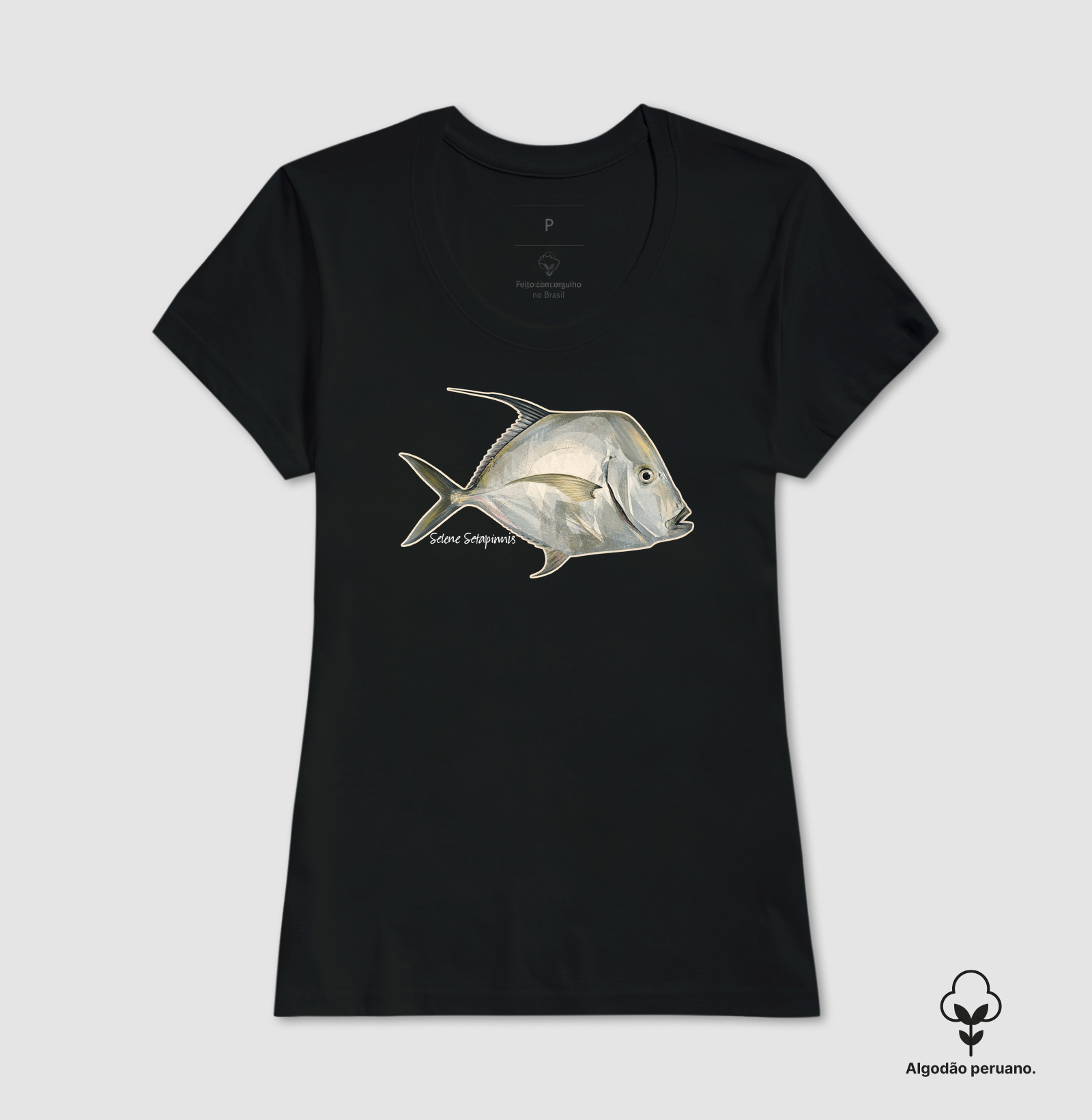 Peixe-Galo - Imagem 6
