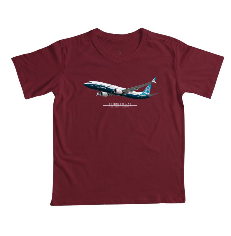 Boeing 737 MAX - Imagem 4