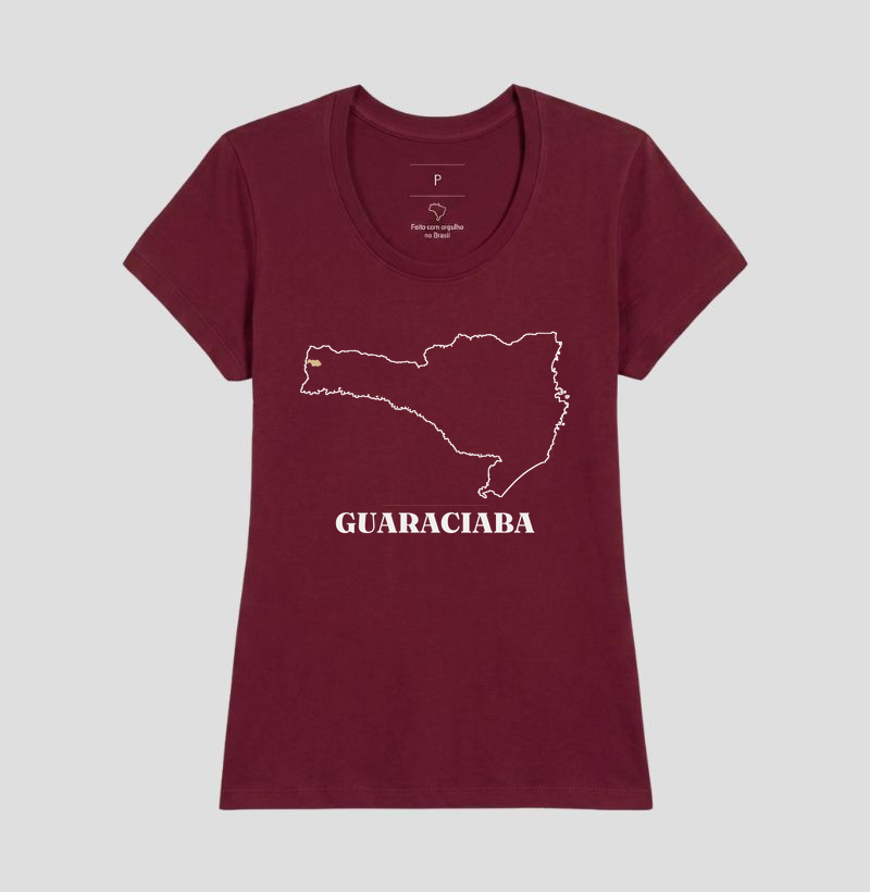 Guaraciaba | Traço SC - Imagem 19
