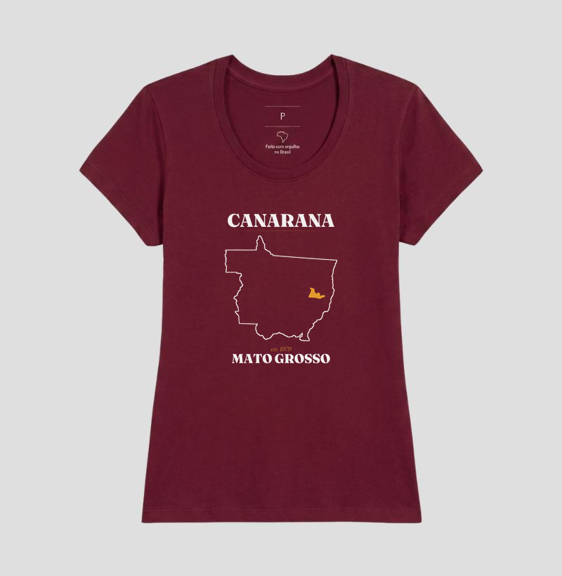 Canarana | Legado MT - Imagem 19
