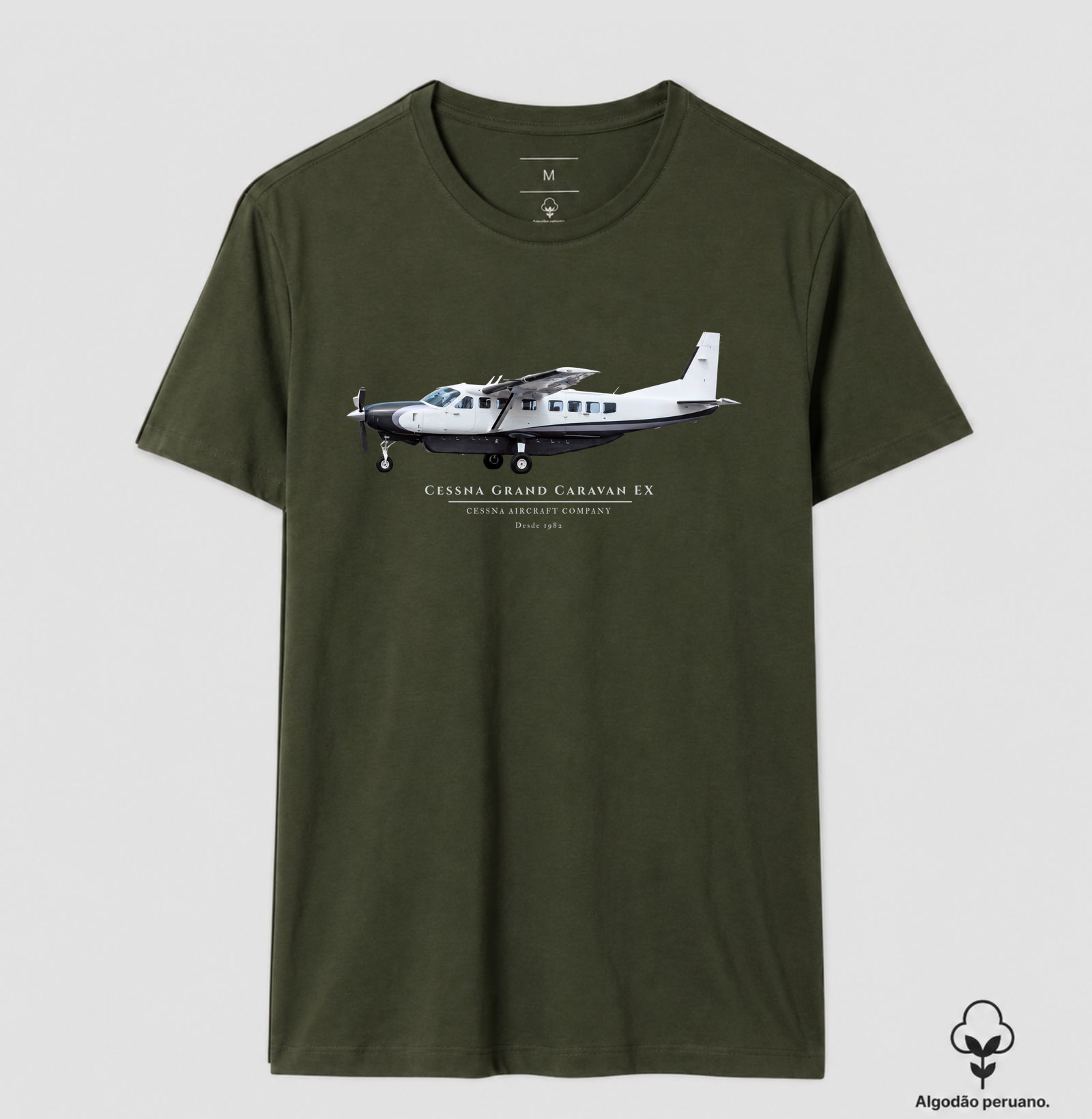 Cessna Grand Caravan EX - Imagem 8