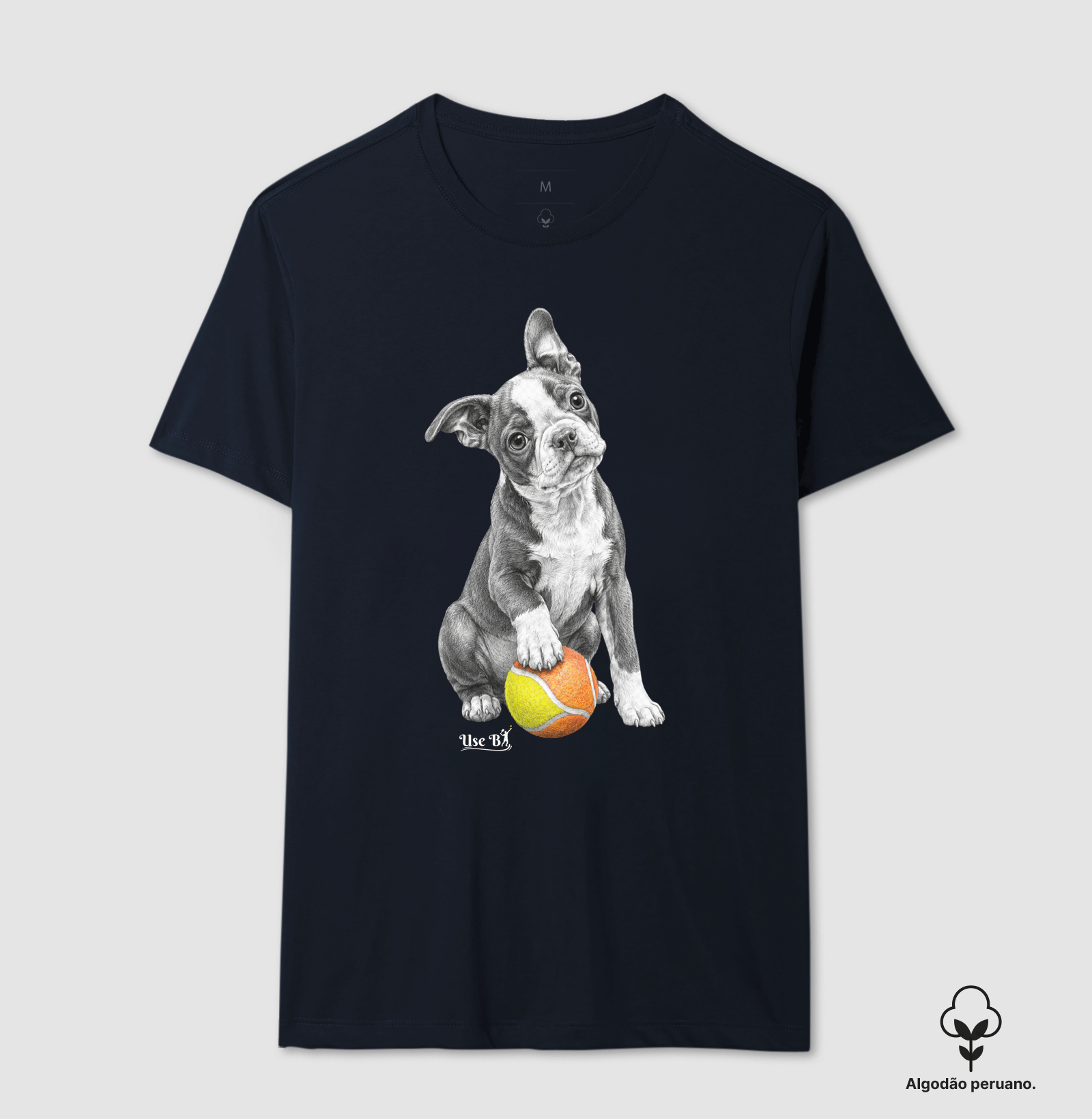 Boston Terrier do Beach - Imagem 5