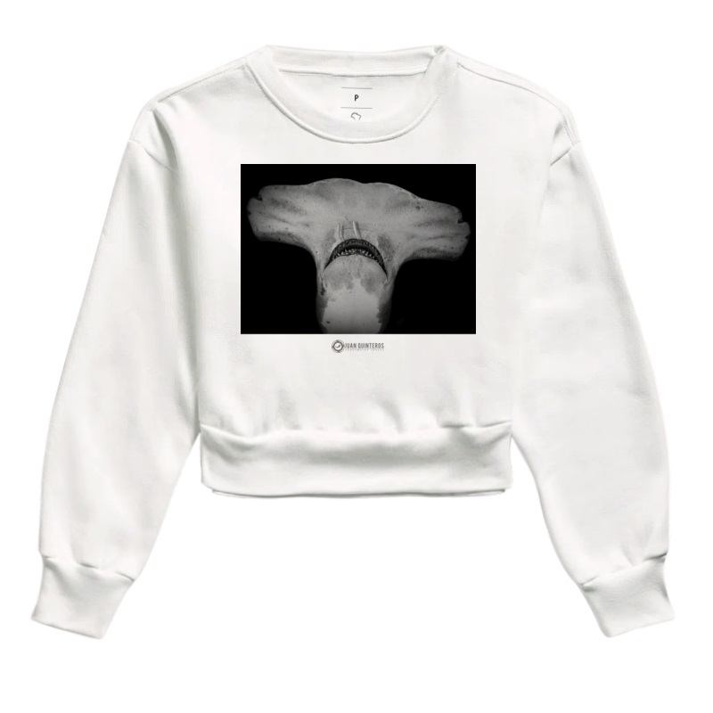 The Great Hammerhead by Juan Quinteros