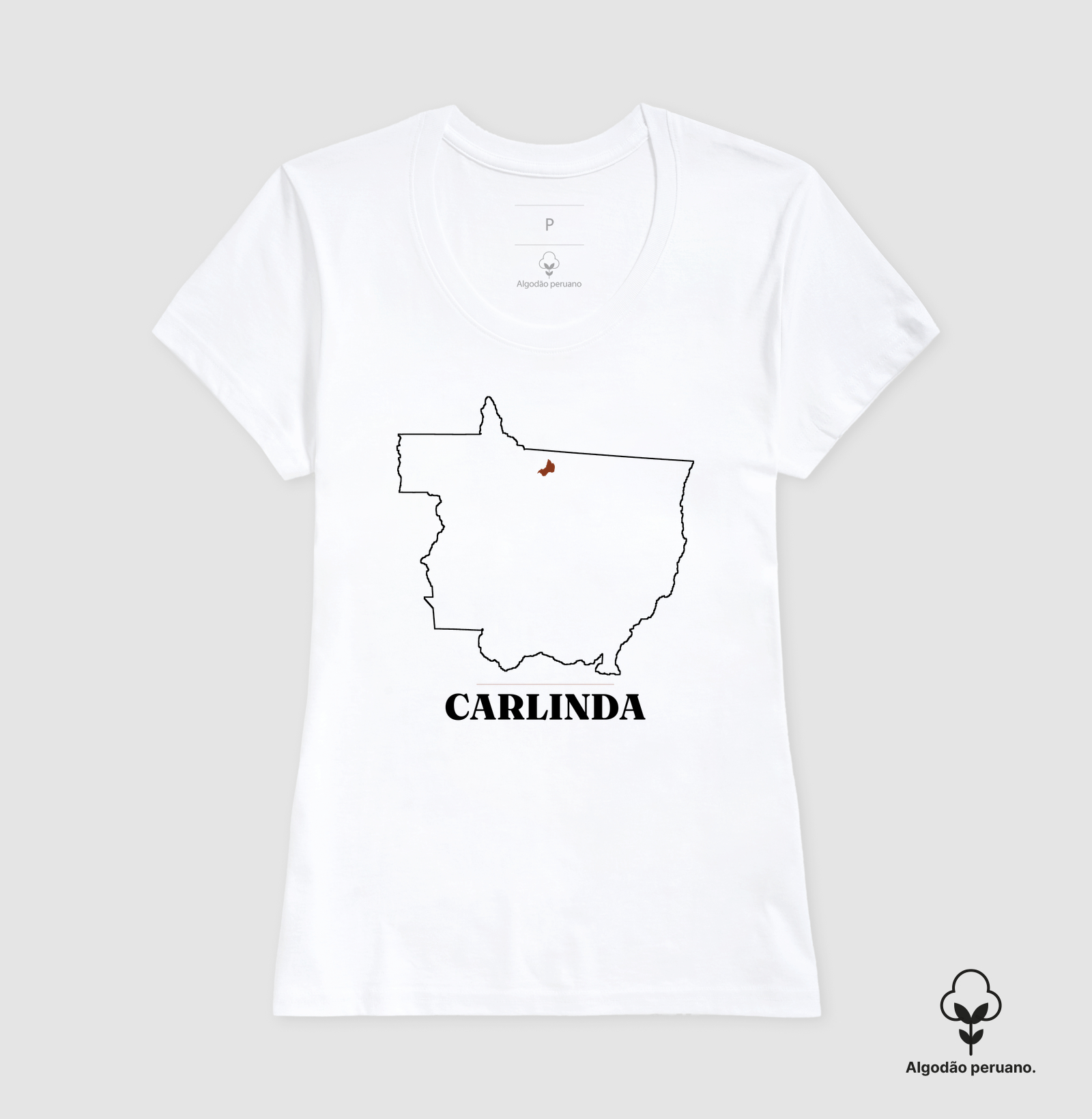 Carlinda | Traço MT - Imagem 7