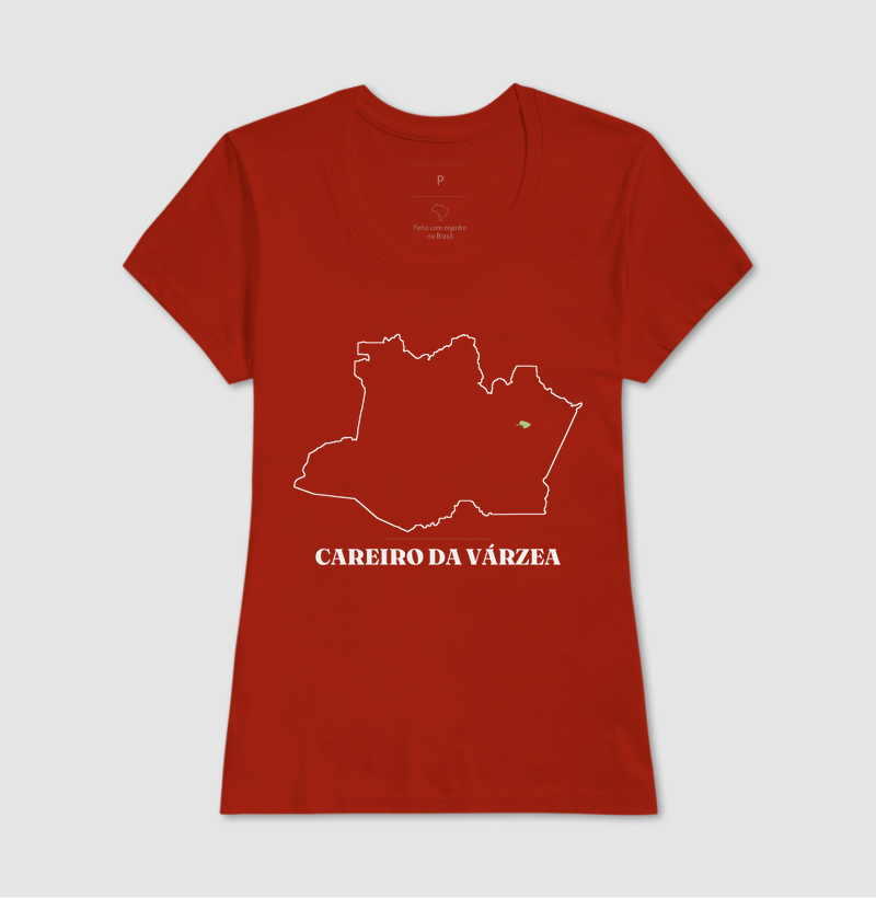 Careiro da Várzea | Traço AM - Imagem 11