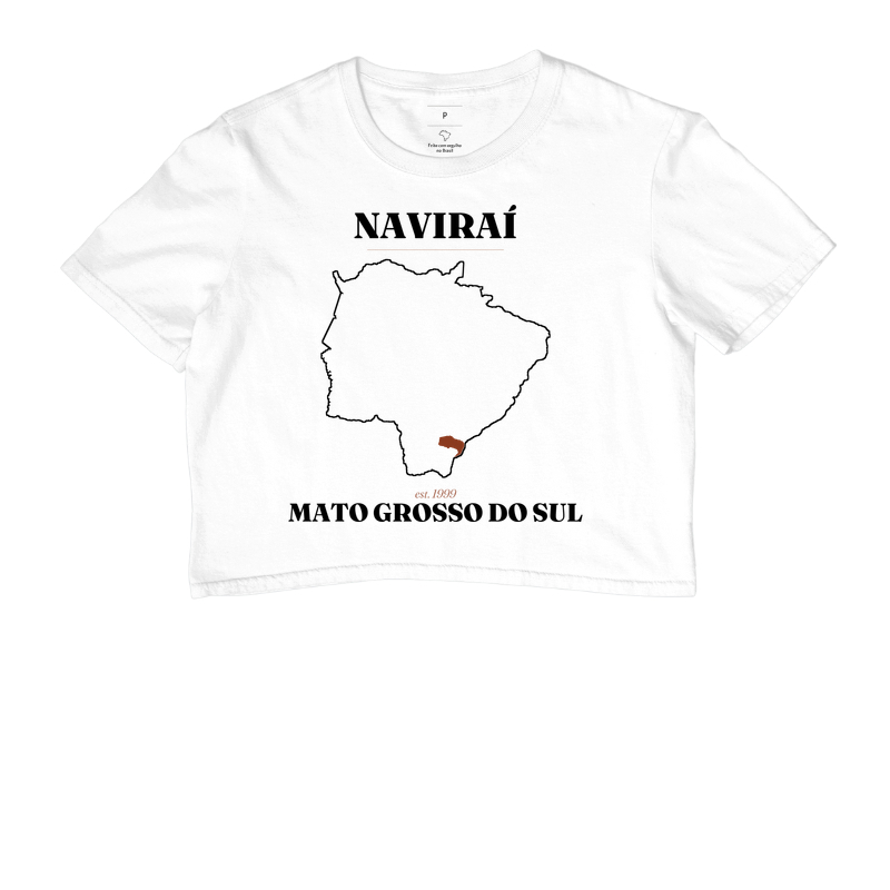 Naviraí | Legado MS - Imagem 3