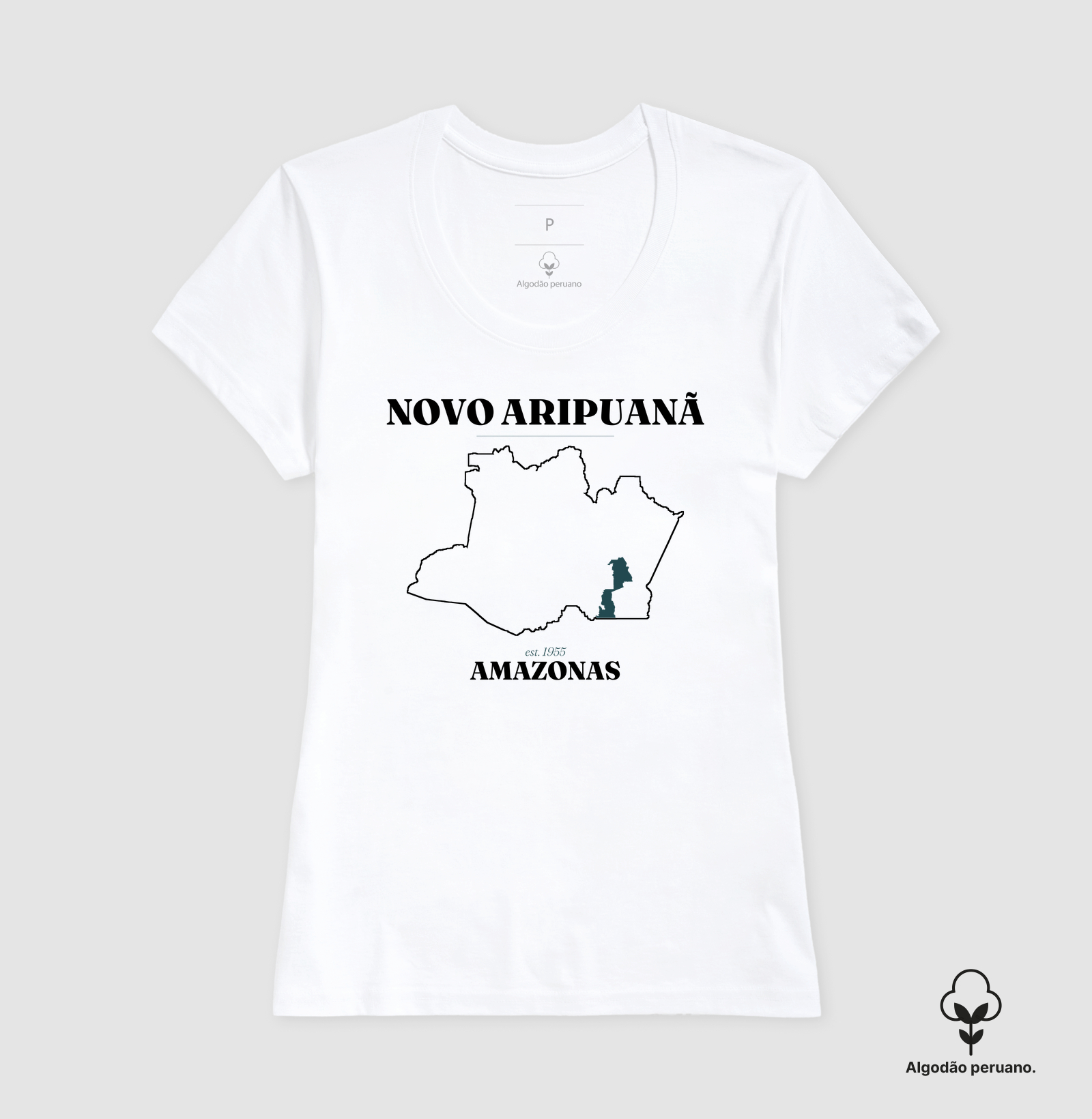 Novo Aripuanã | Legado AM - Imagem 8