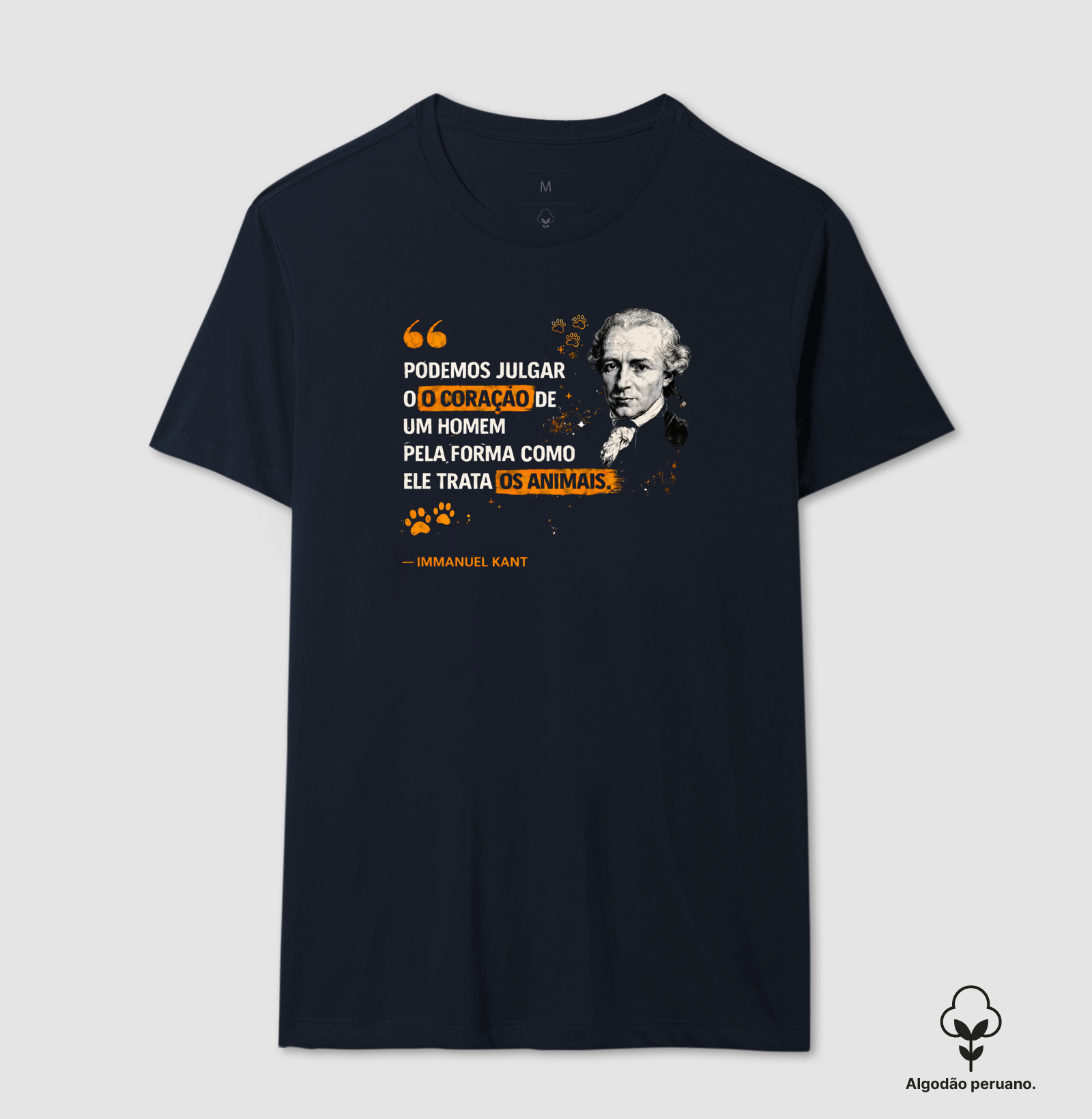Filosofia de Immanuel Kant - Imagem 2