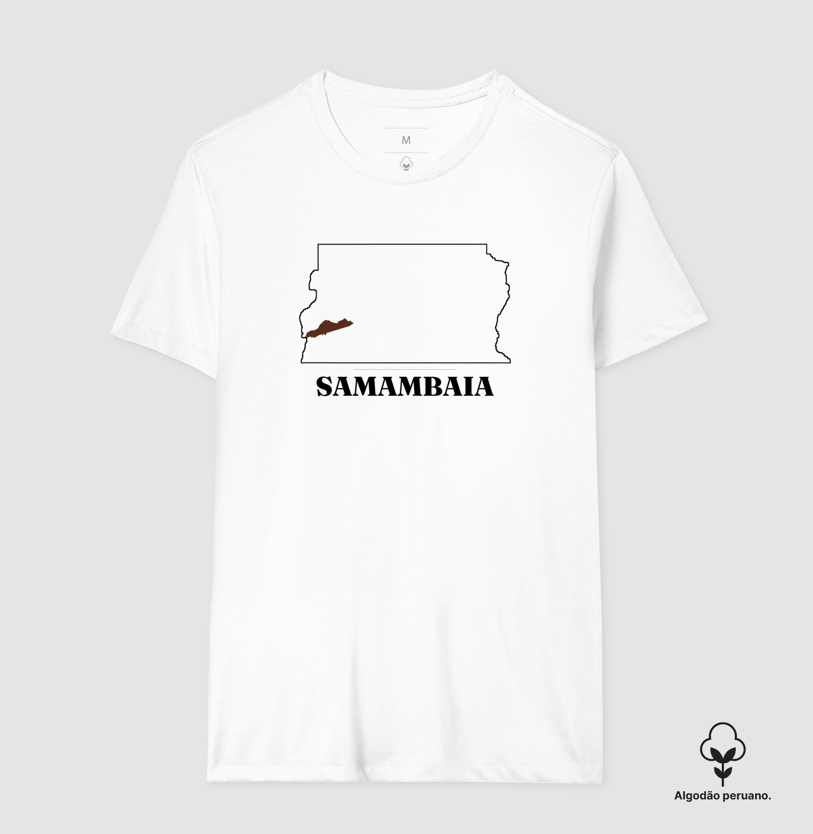 Samambaia | Traço DF - Imagem 2