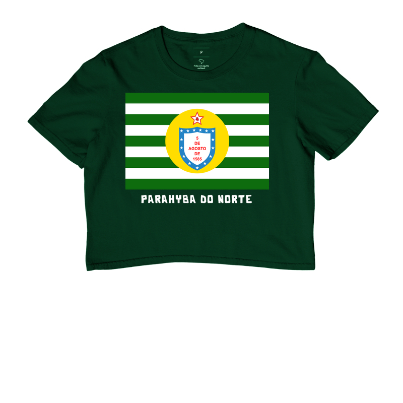 Parahyba do Norte | Bandeira - Imagem 5