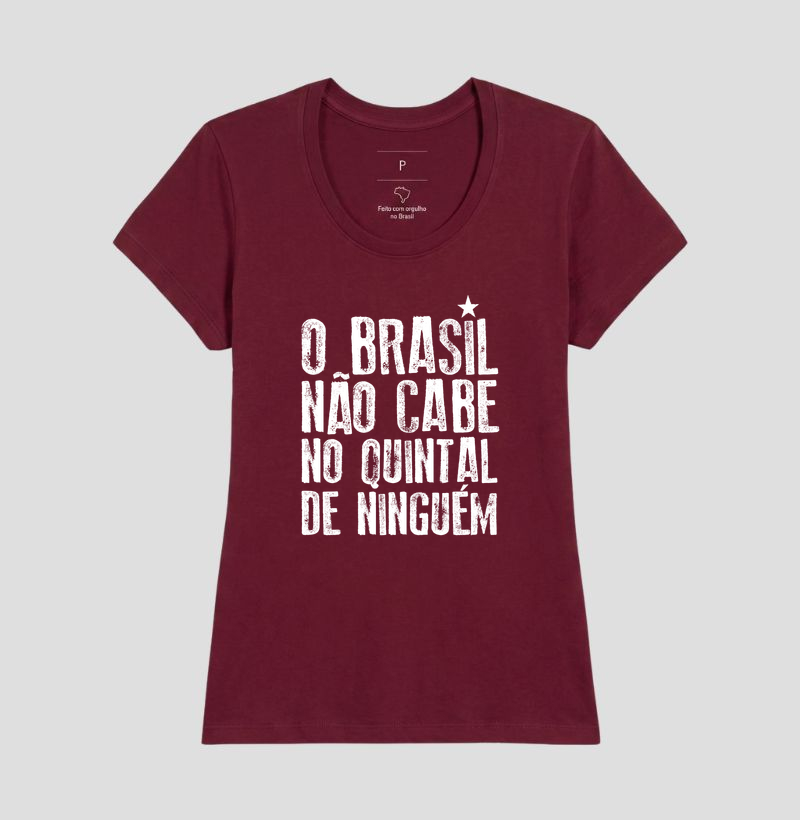 O Brasil não cabe no quintal de ninguém - Imagem 15