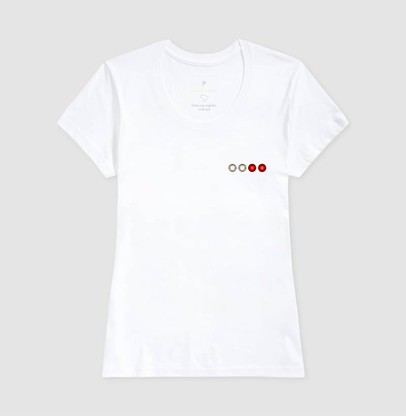 PAPI - Correct Path - Imagem 5