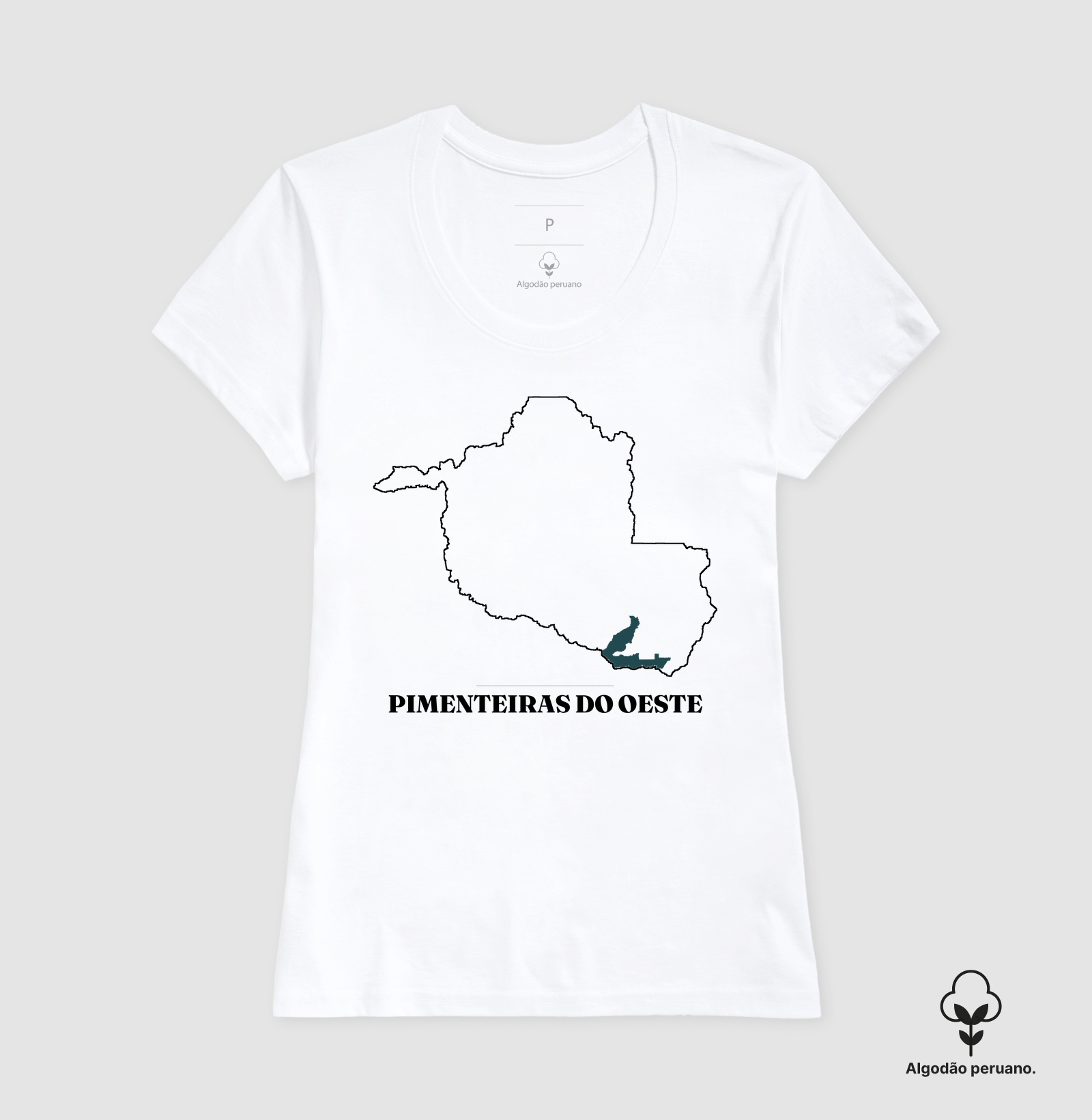 Pimenteiras do Oeste | Traço RO - Imagem 6