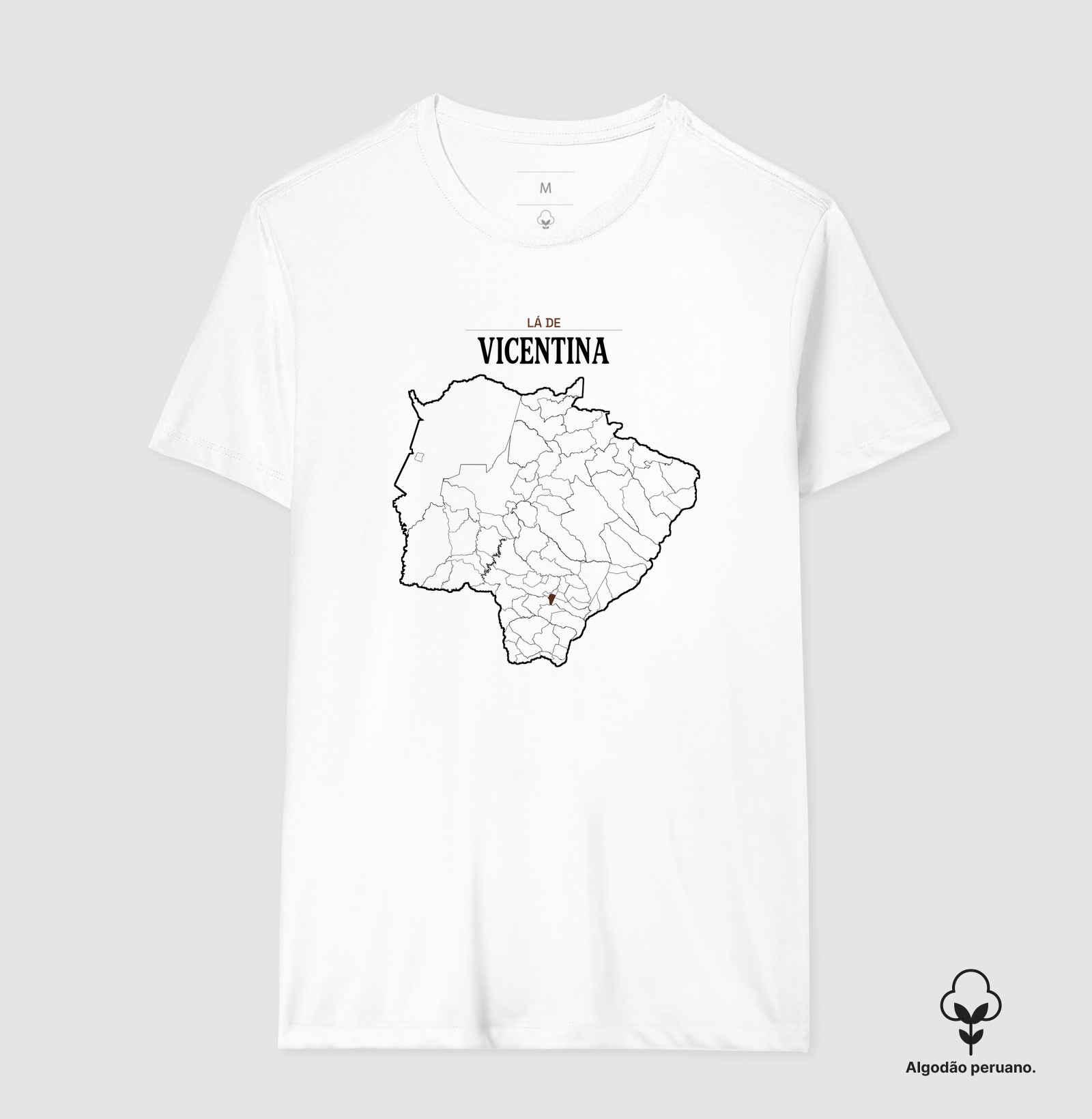 Vicentina | Território MS - Imagem 4