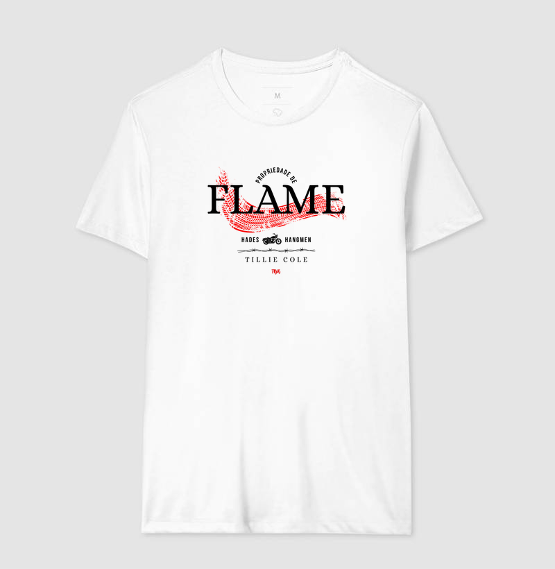 Propriedade de Flame - Imagem 4