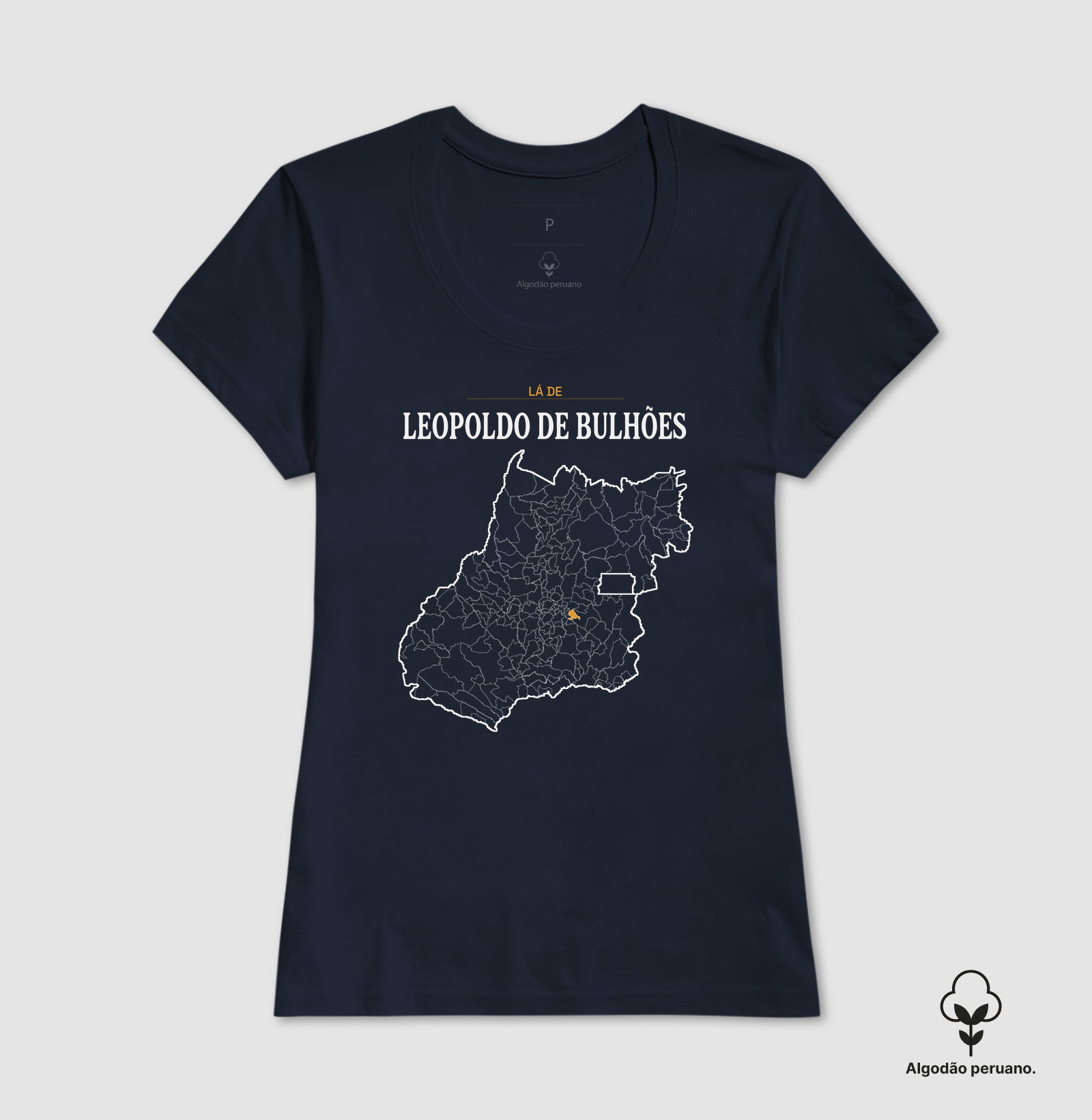 Leopoldo de Bulhões | Território GO - Imagem 9