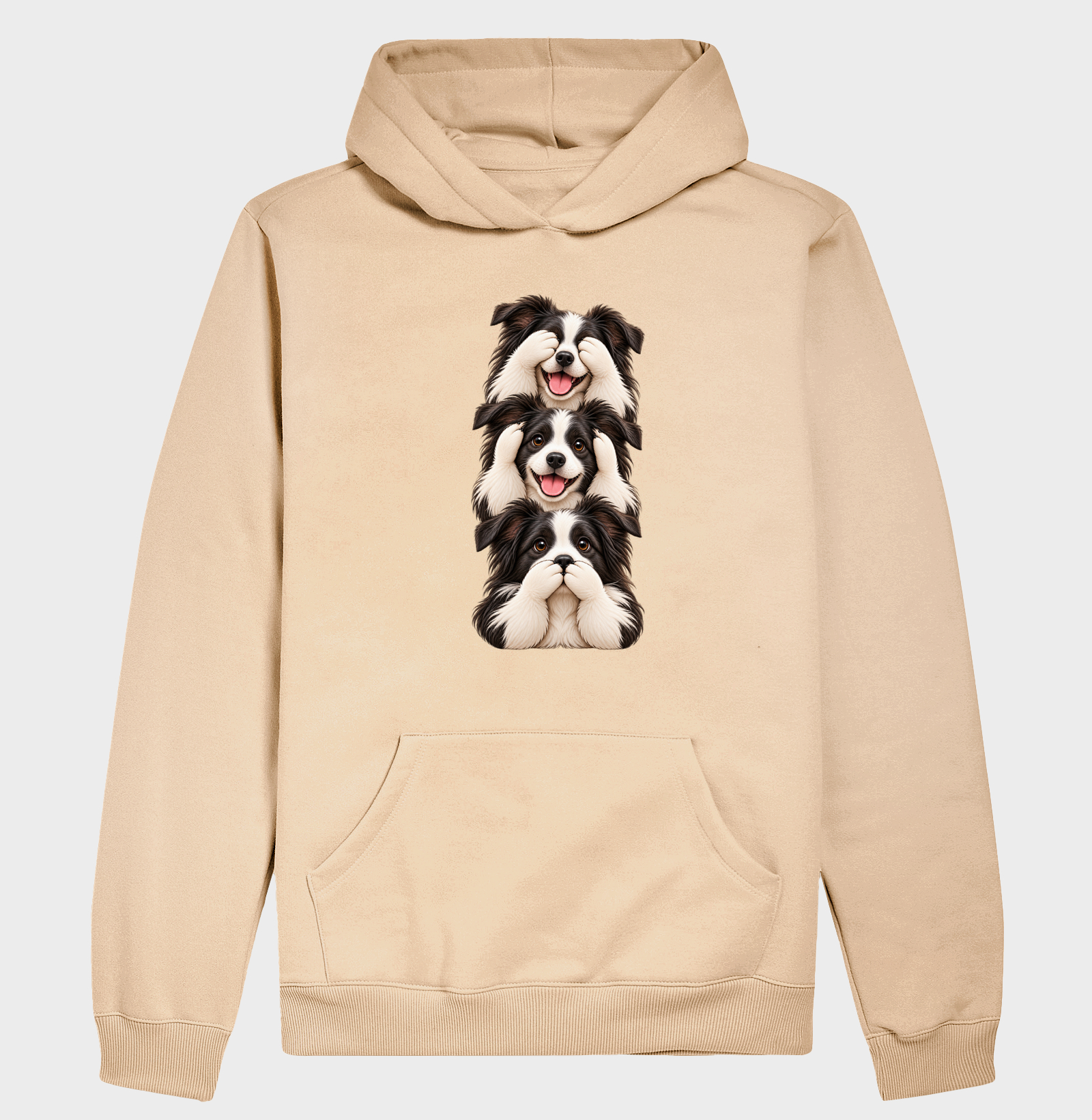 Ver, ouvir e falar Border Collie - Imagem 5