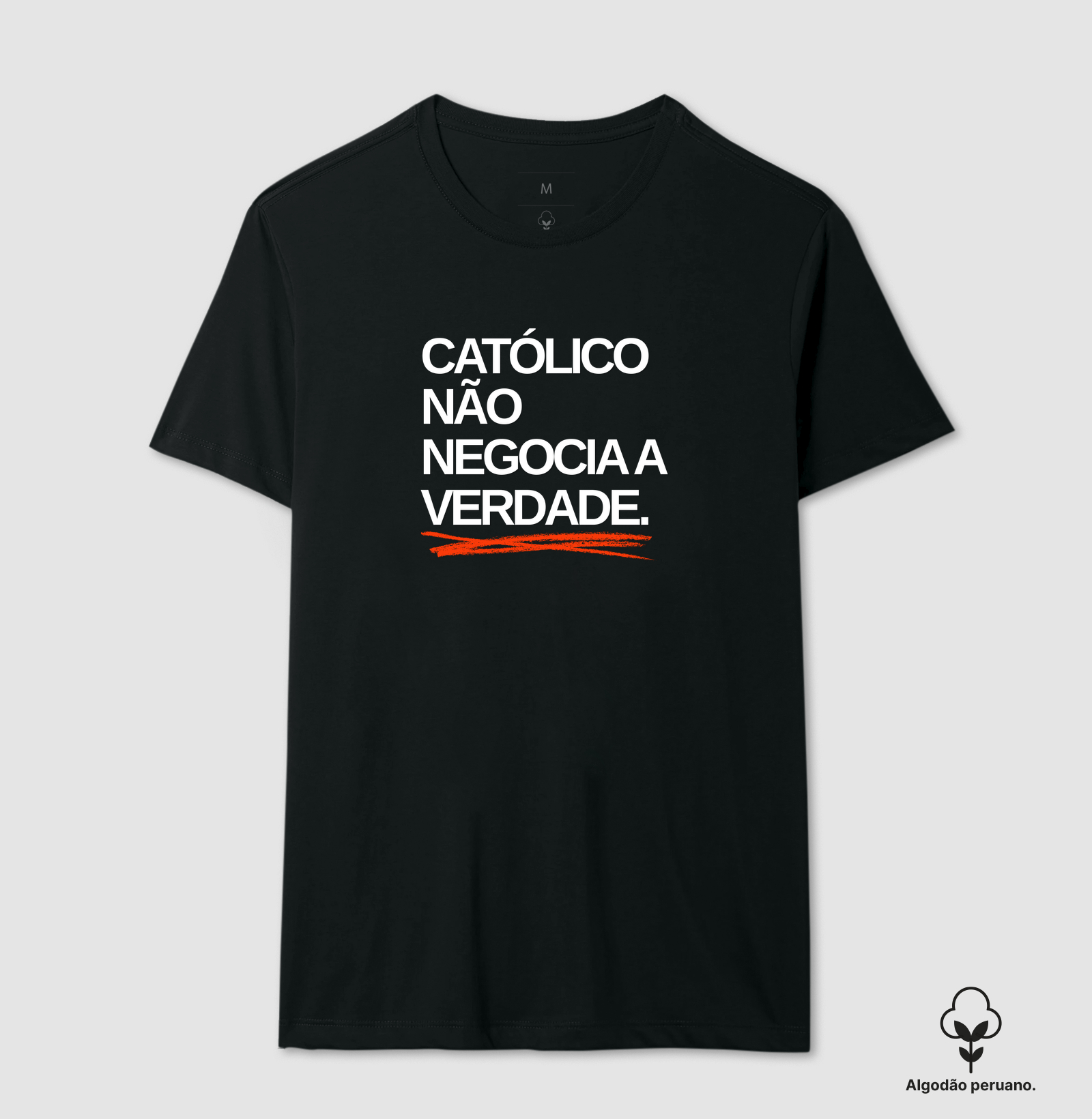 catolico não negocia a verdade - Imagem 3