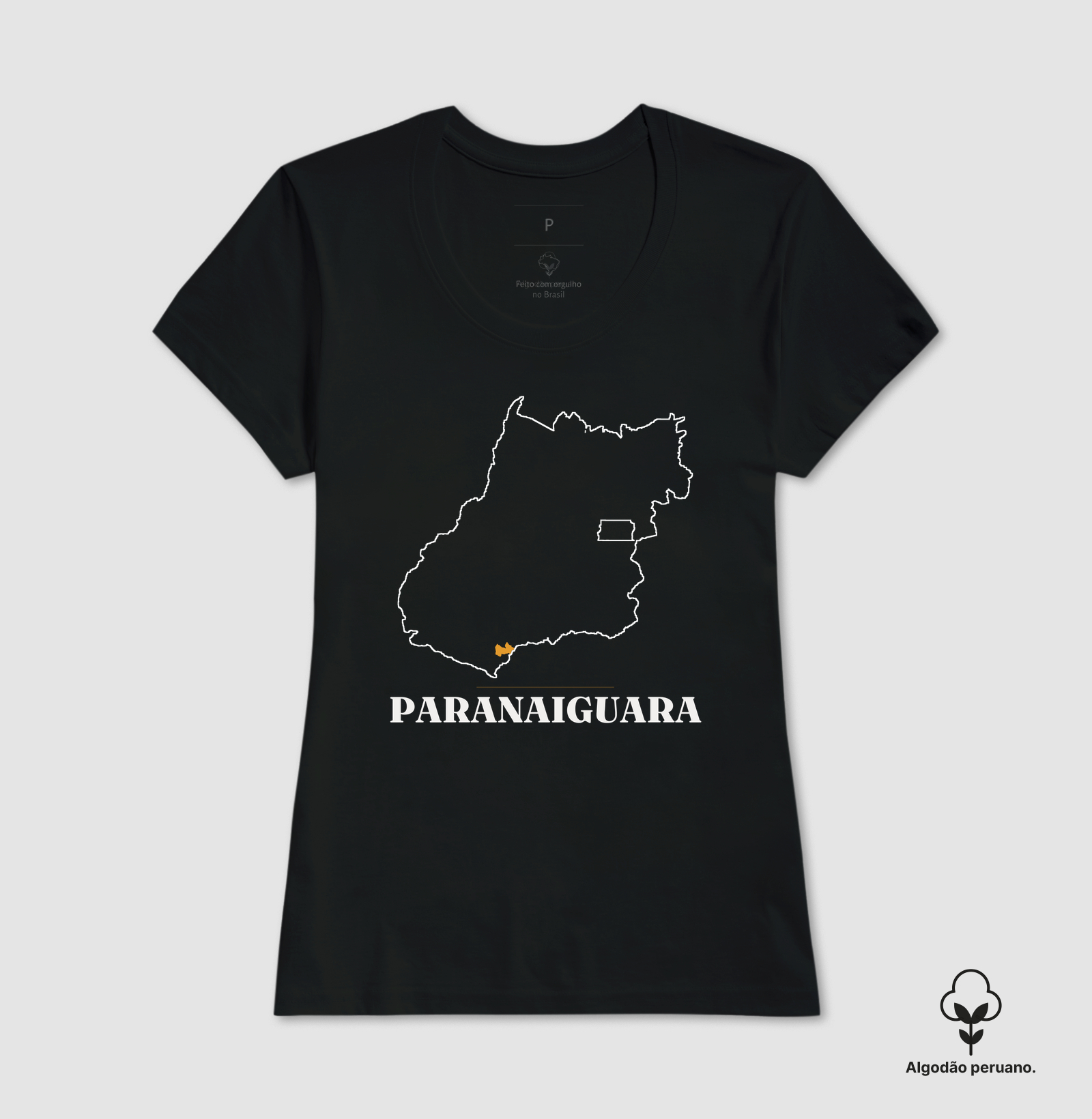 Paranaiguara | Traço GO - Imagem 4