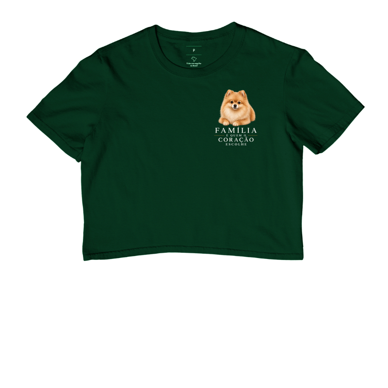 Pomerânia (Spitz Alemão) Caramelo - Família - Imagem 5