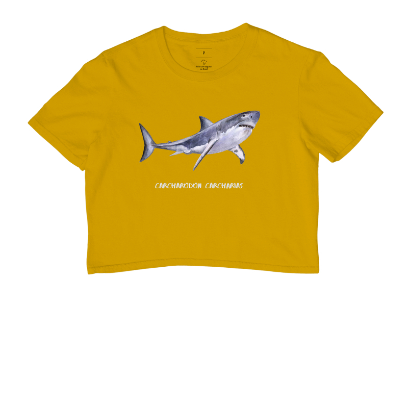 Carcharodon carcharias - Imagem 14