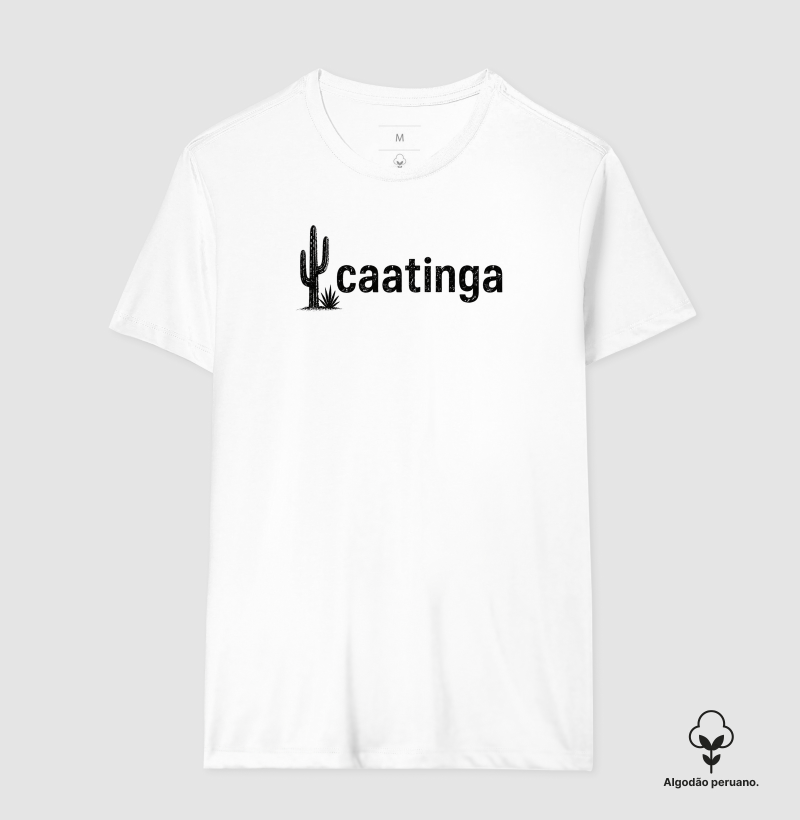 Caatinga - Imagem 5