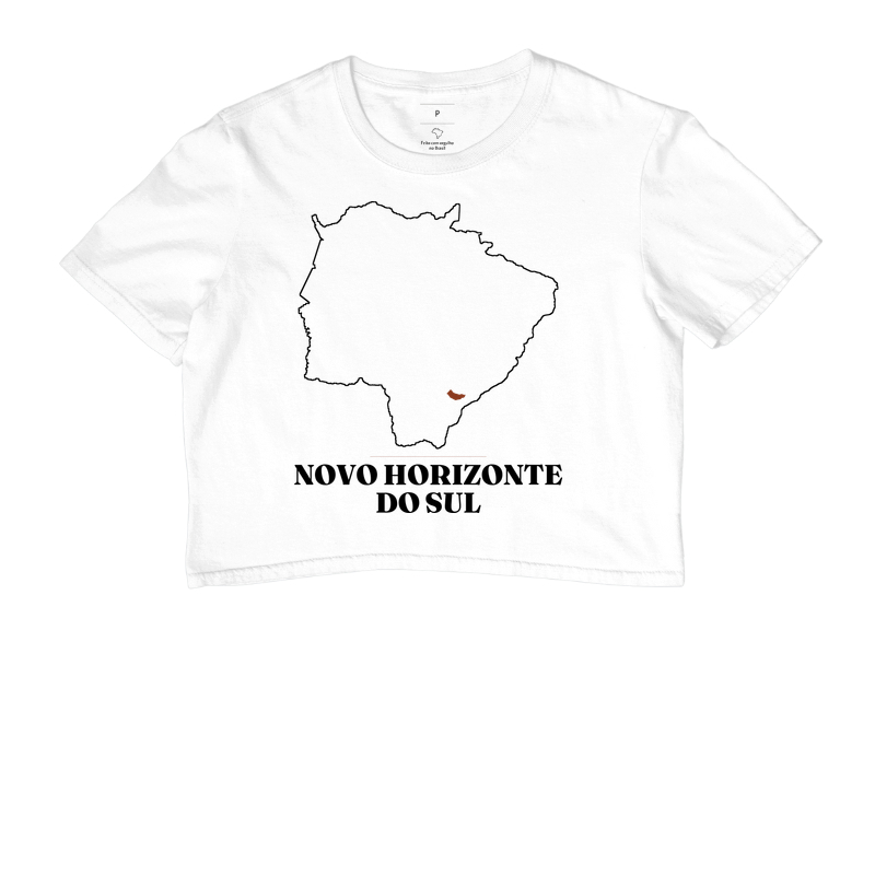 Novo Horizonte do Sul | Traço MS - Imagem 3