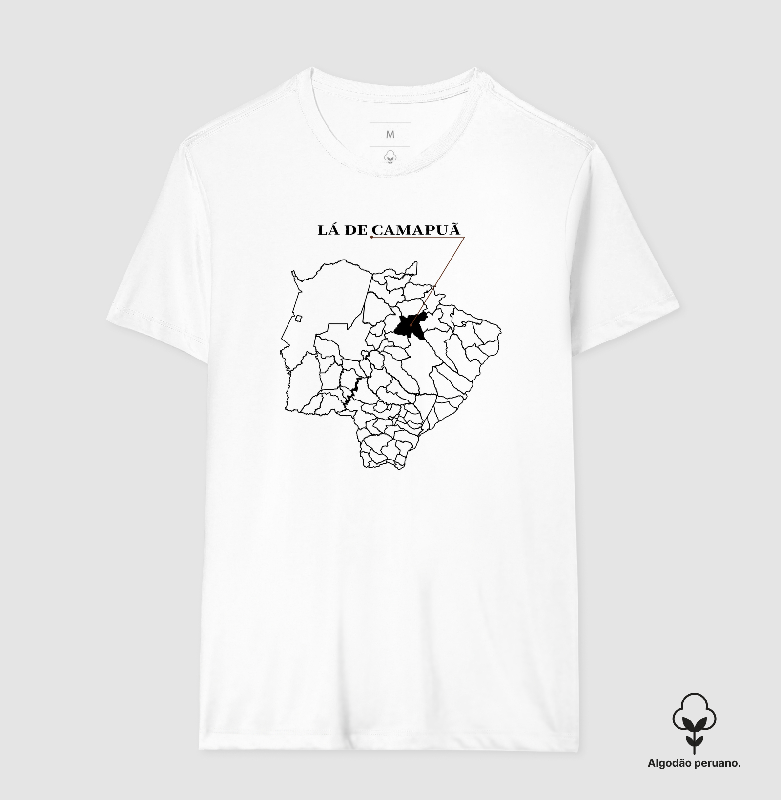 Camapuã | Origem MS - Imagem 6