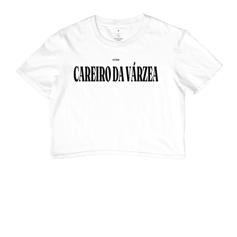 Careiro da Várzea | Tipografia AM - Imagem 3