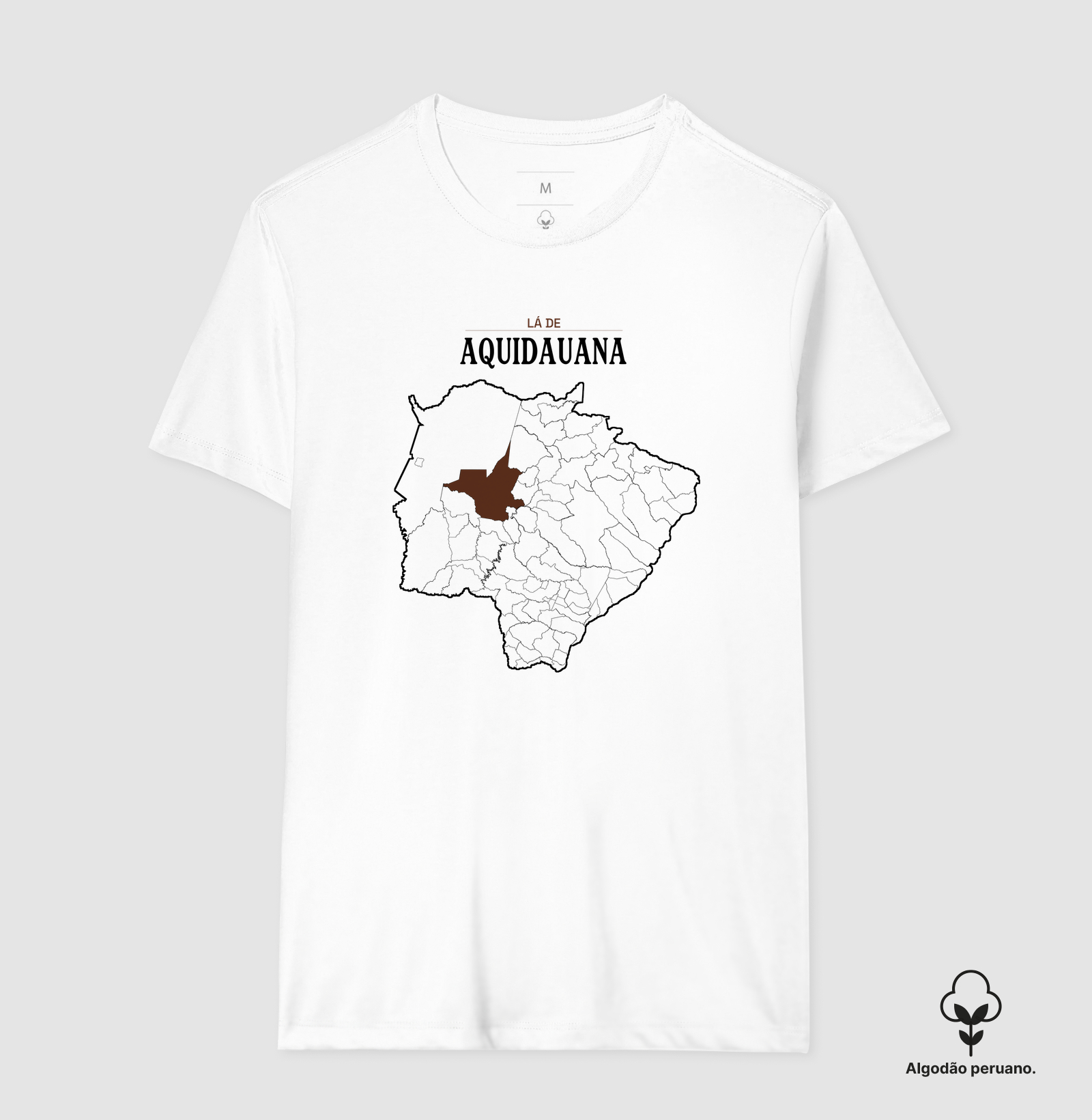 Aquidauana | Território MS - Imagem 8
