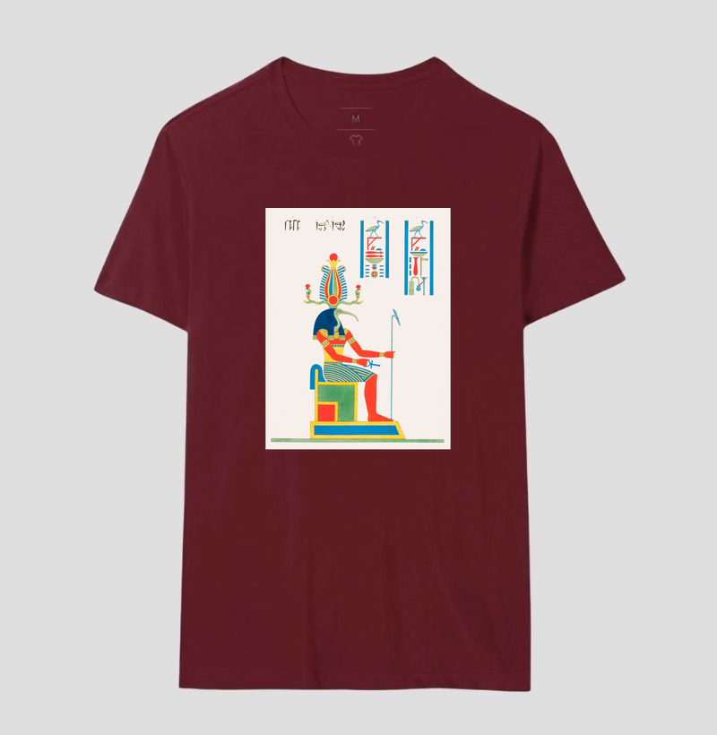 Camisa 17