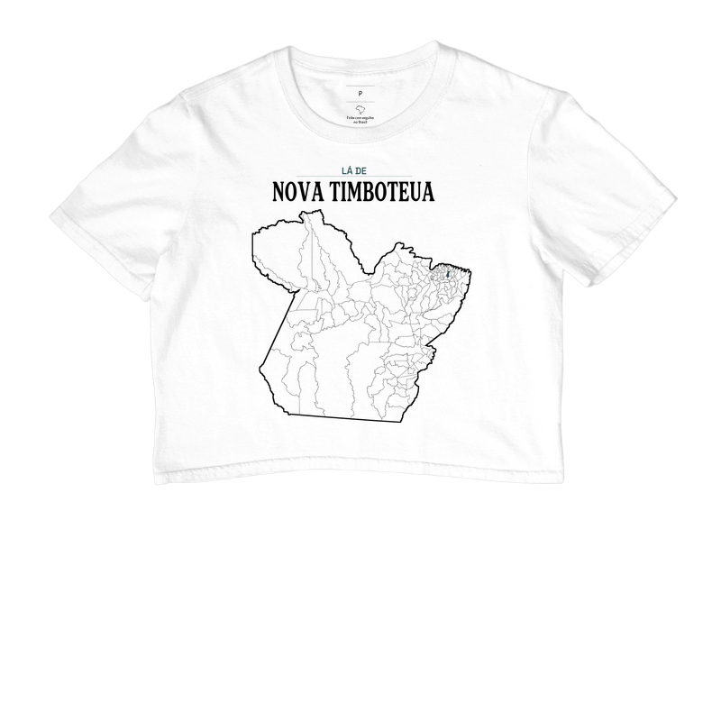 Nova Timboteua | Território PA - Imagem 3