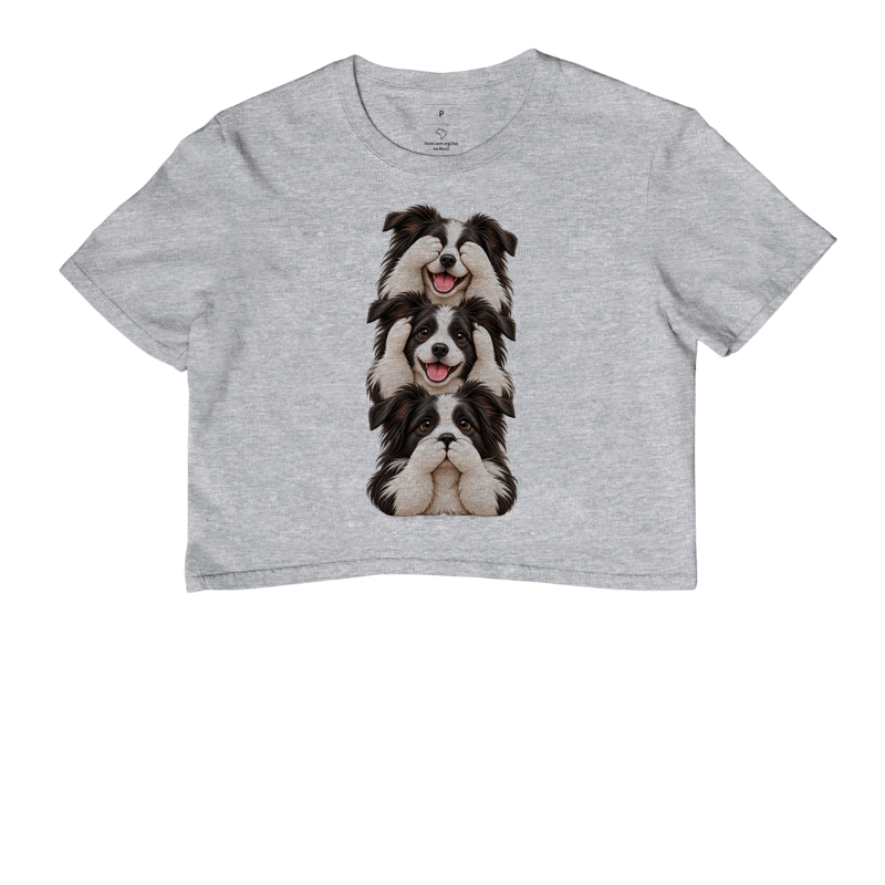 Ver, ouvir e falar Border Collie - Imagem 6