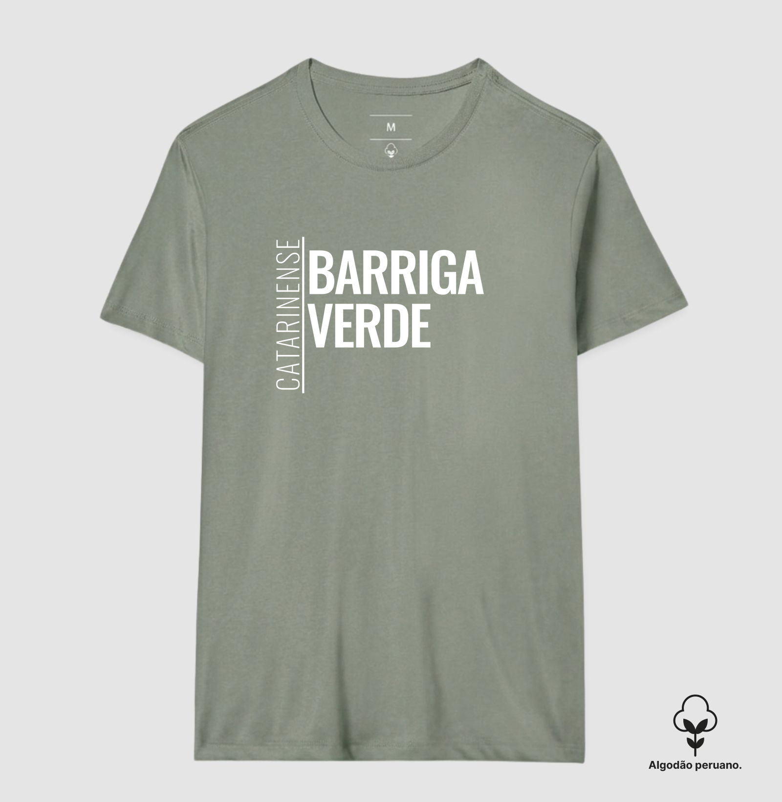 Catarinense — Barriga-Verde - Imagem 2