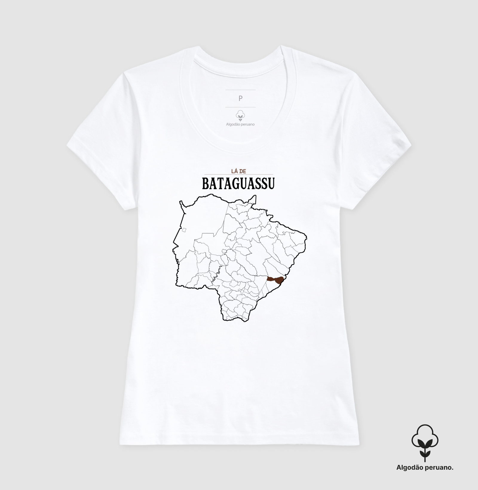 Bataguassu | Território MS - Imagem 9