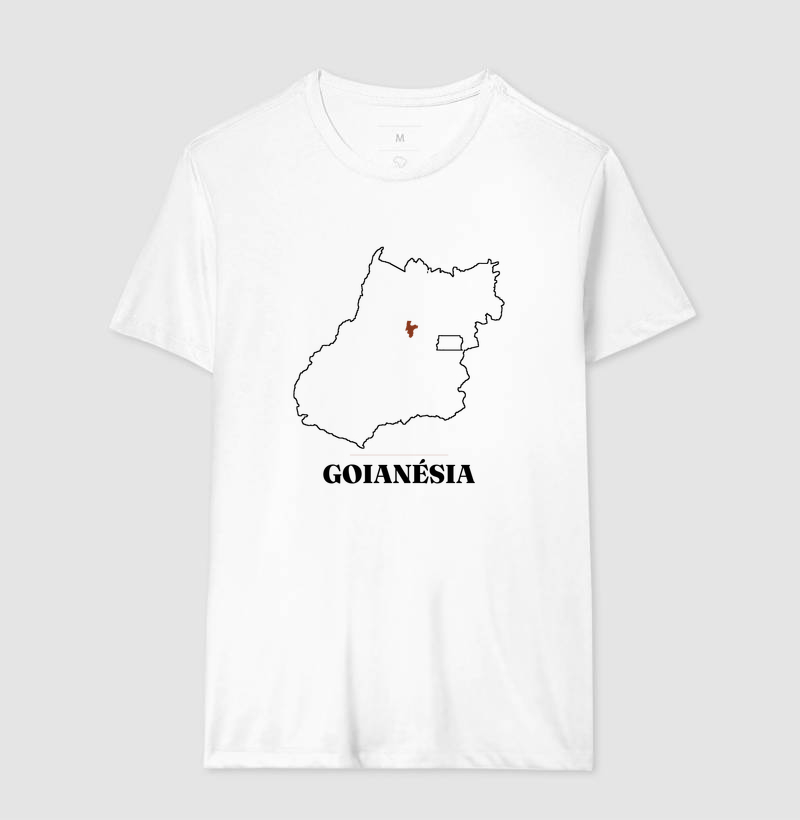 Goianésia | Traço GO - Imagem 4