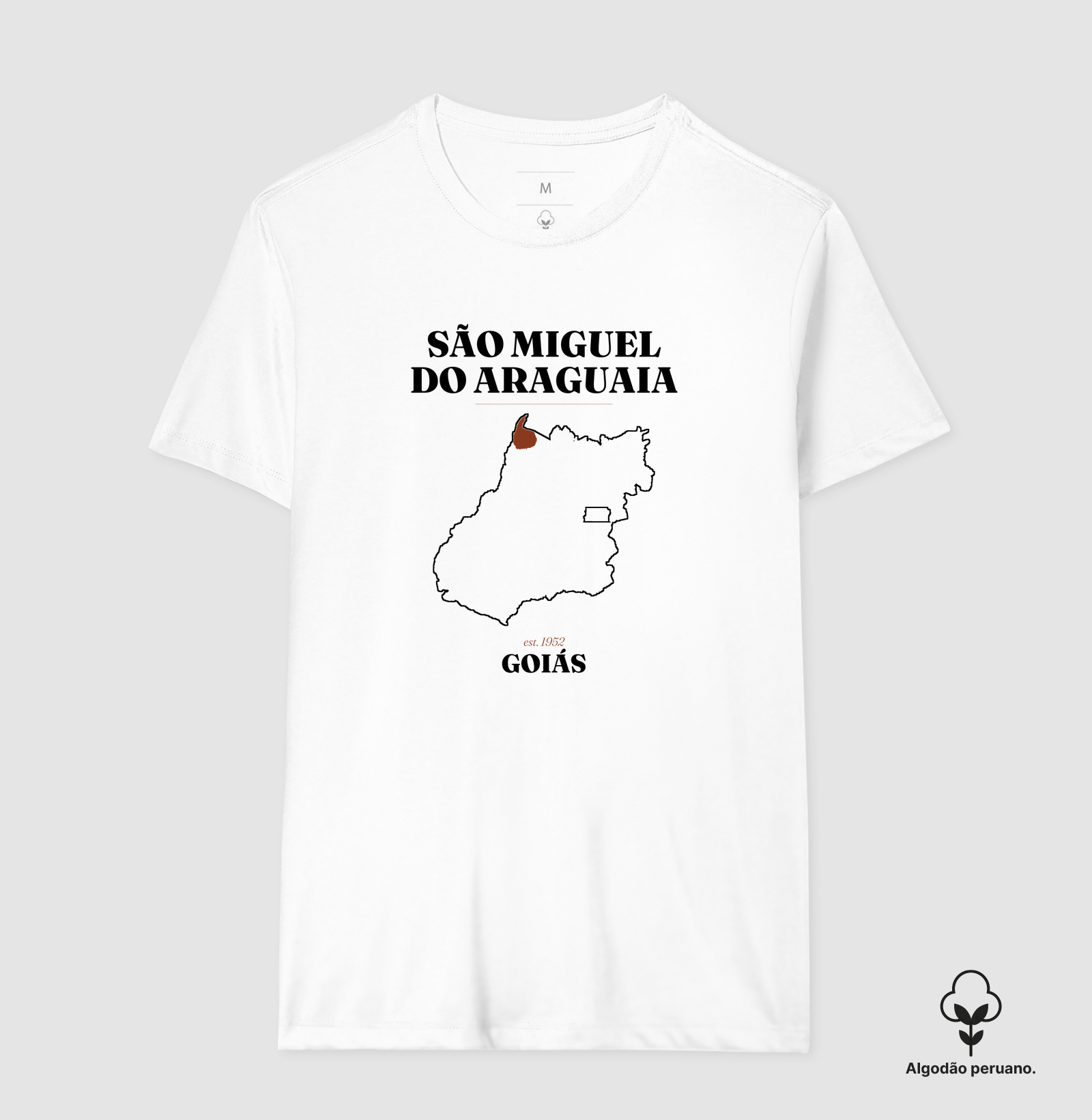 São Miguel do Araguaia | Legado GO - Imagem 7