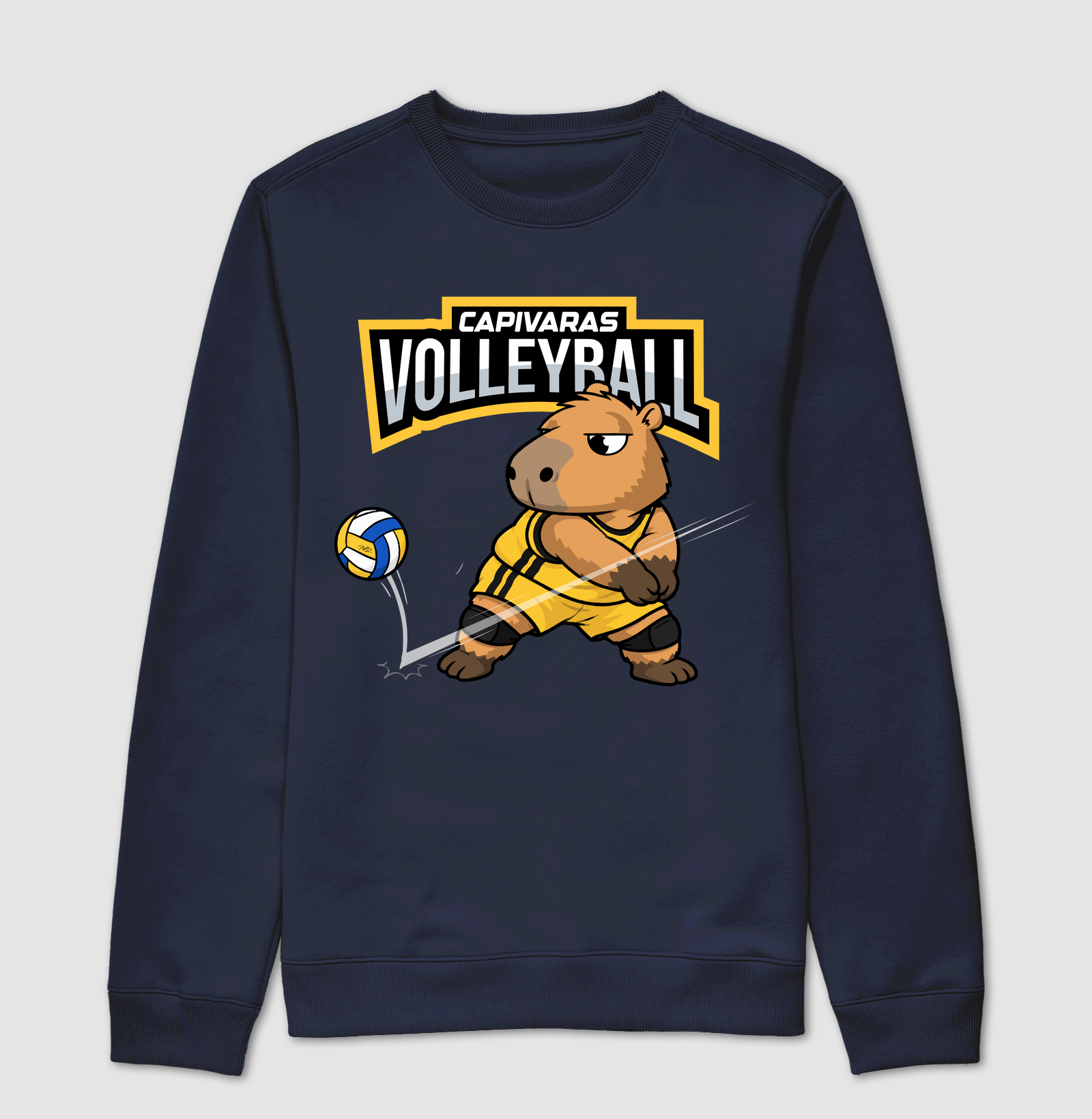 Capivara Volei - Imagem 5