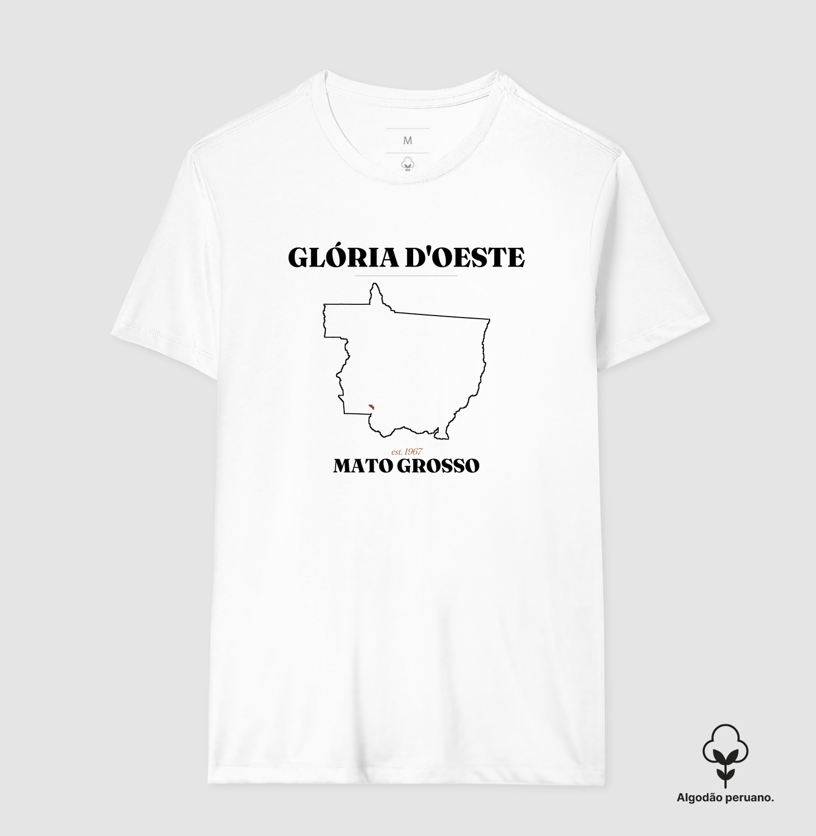 Glória D'Oeste | Legado MT - Imagem 8