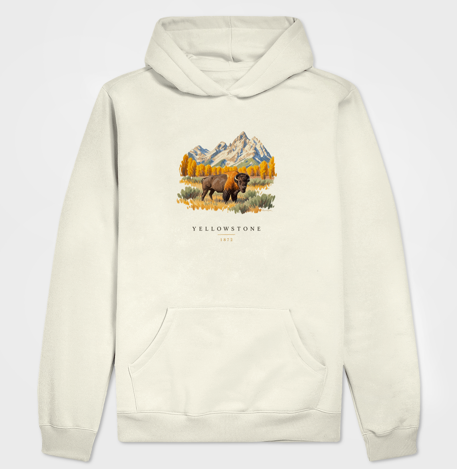 Bison - Yellowstone - Imagem 3