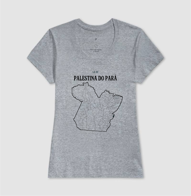 Palestina do Pará | Território PA - Imagem 9