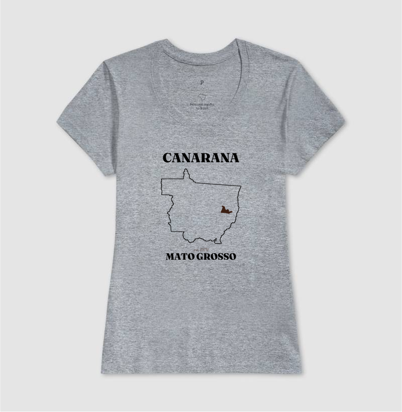 Canarana | Legado MT - Imagem 9