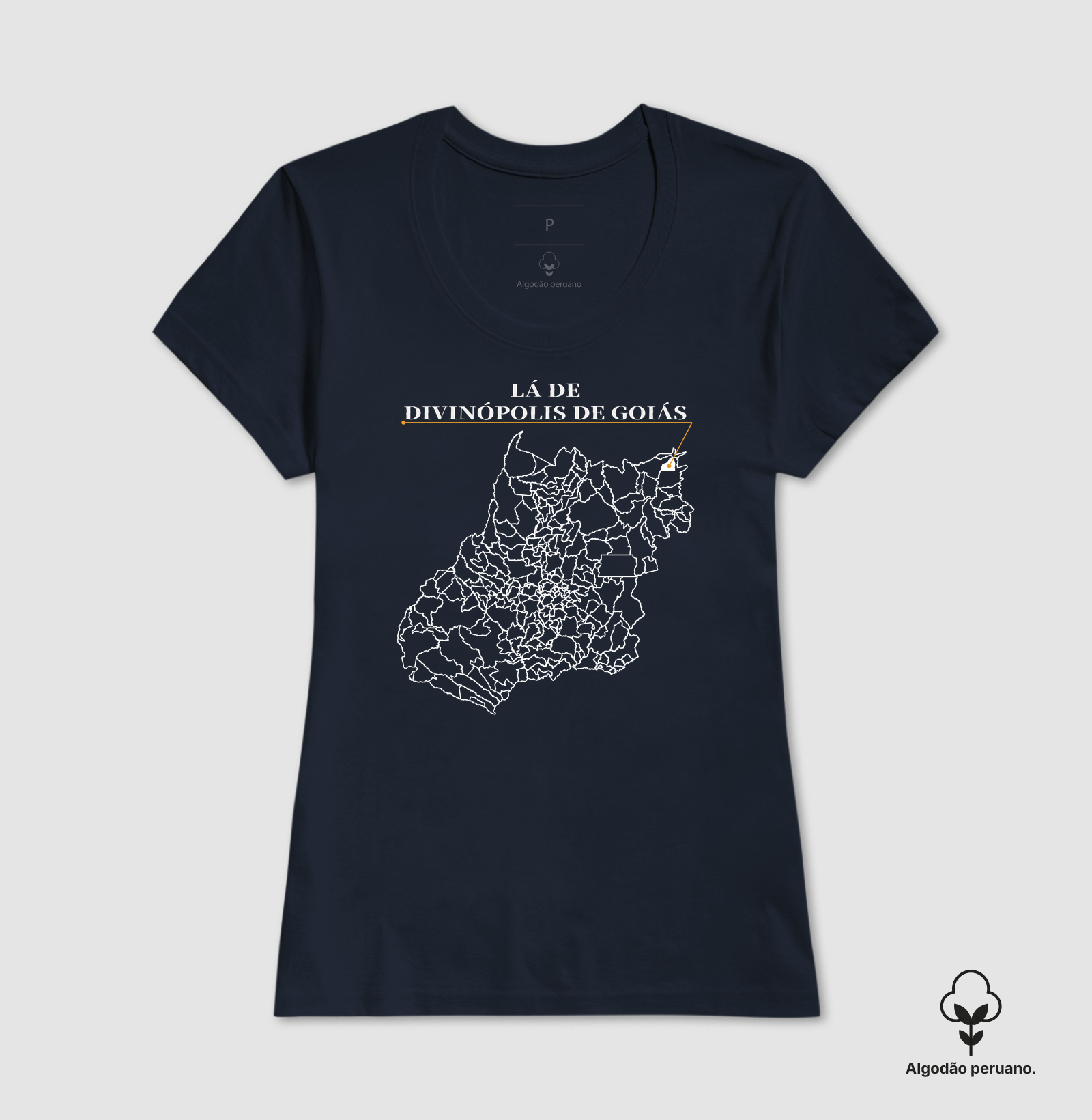 Divinópolis de Goiás | Origem GO - Imagem 3