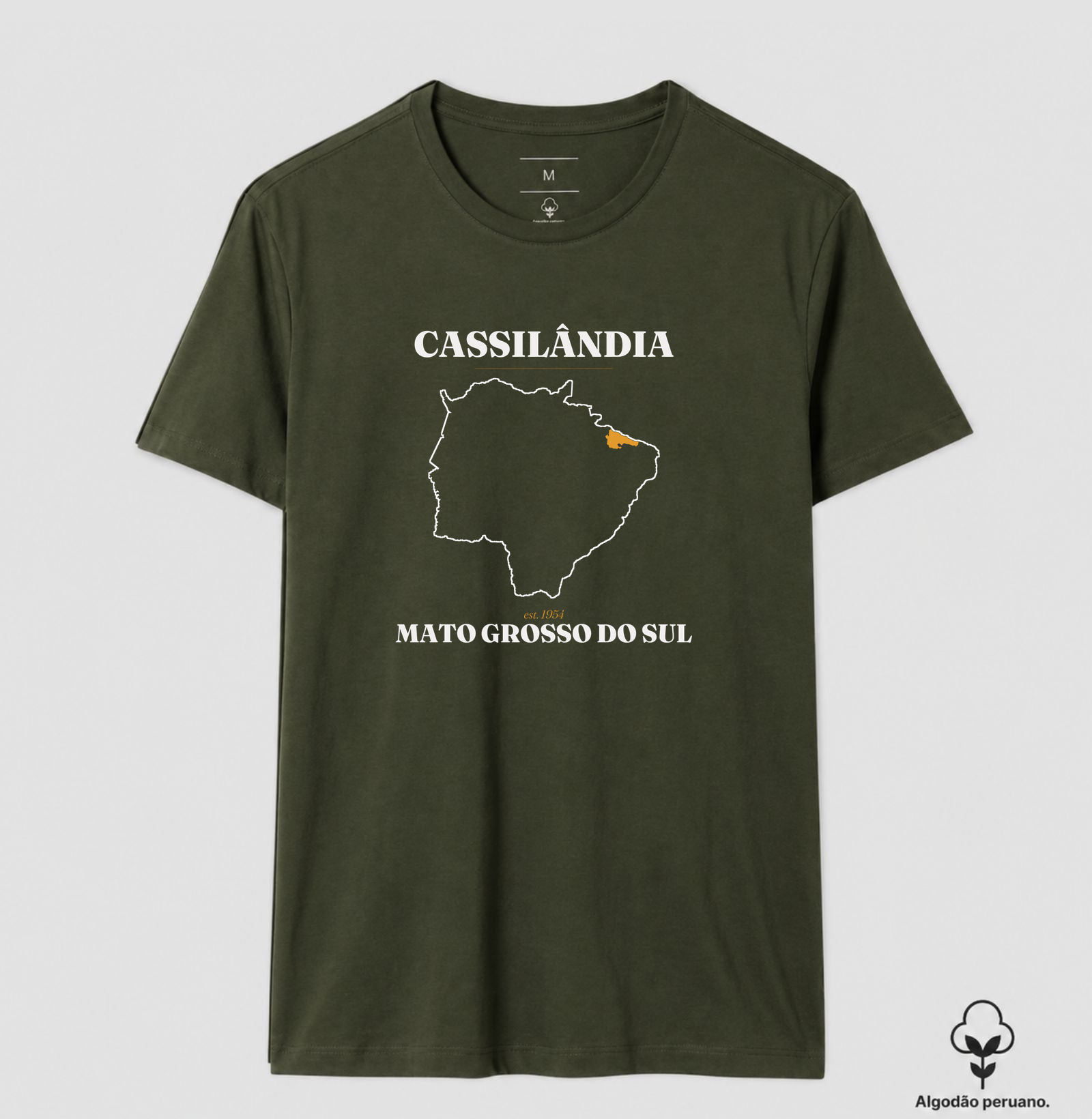 Cassilândia | Legado MS - Imagem 5