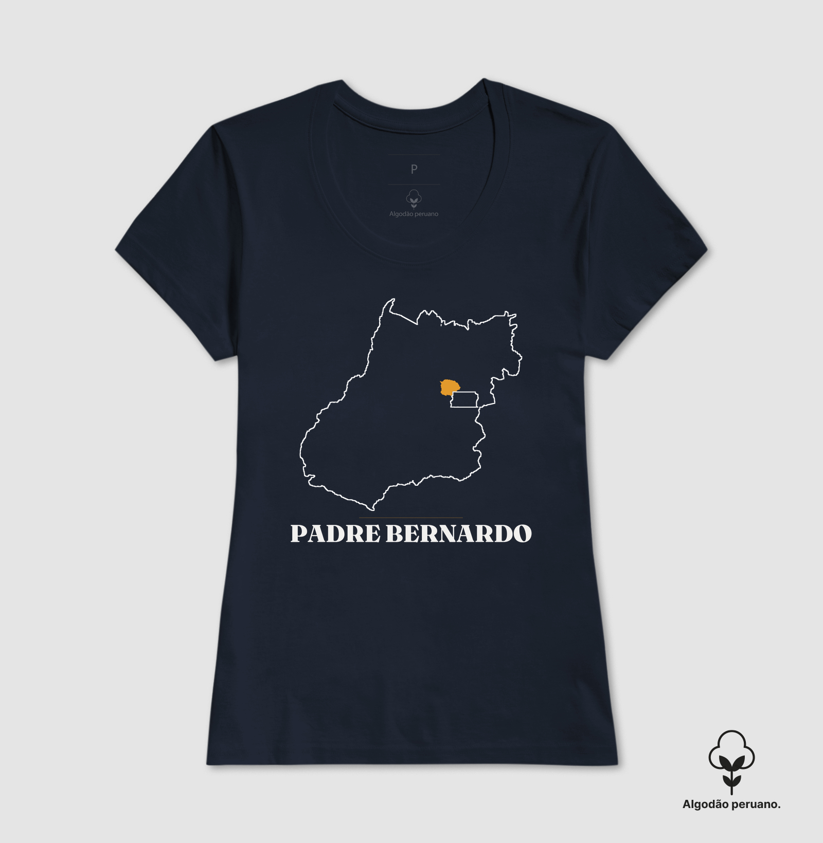 Padre Bernardo | Traço GO - Imagem 7