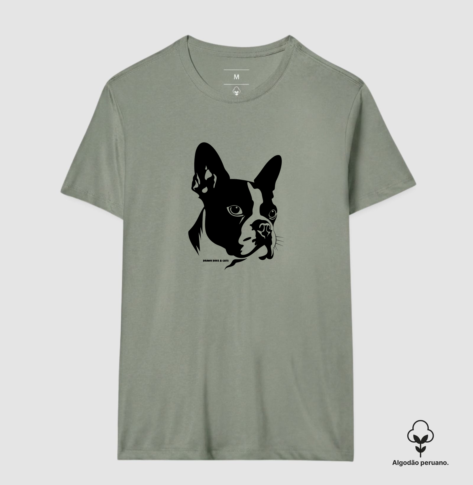 Boston Terrier - Imagem 4